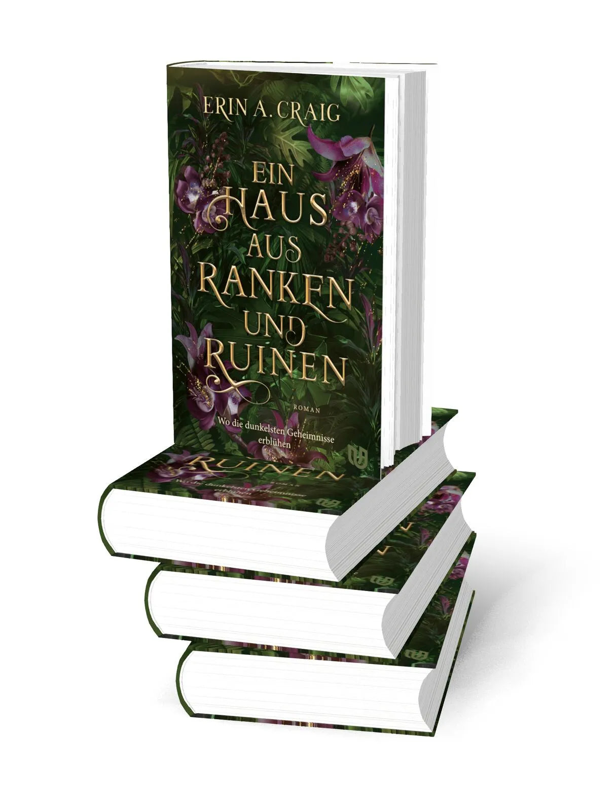 Detailansicht: Ein Haus aus Ranken und Ruinen (Hardcover)