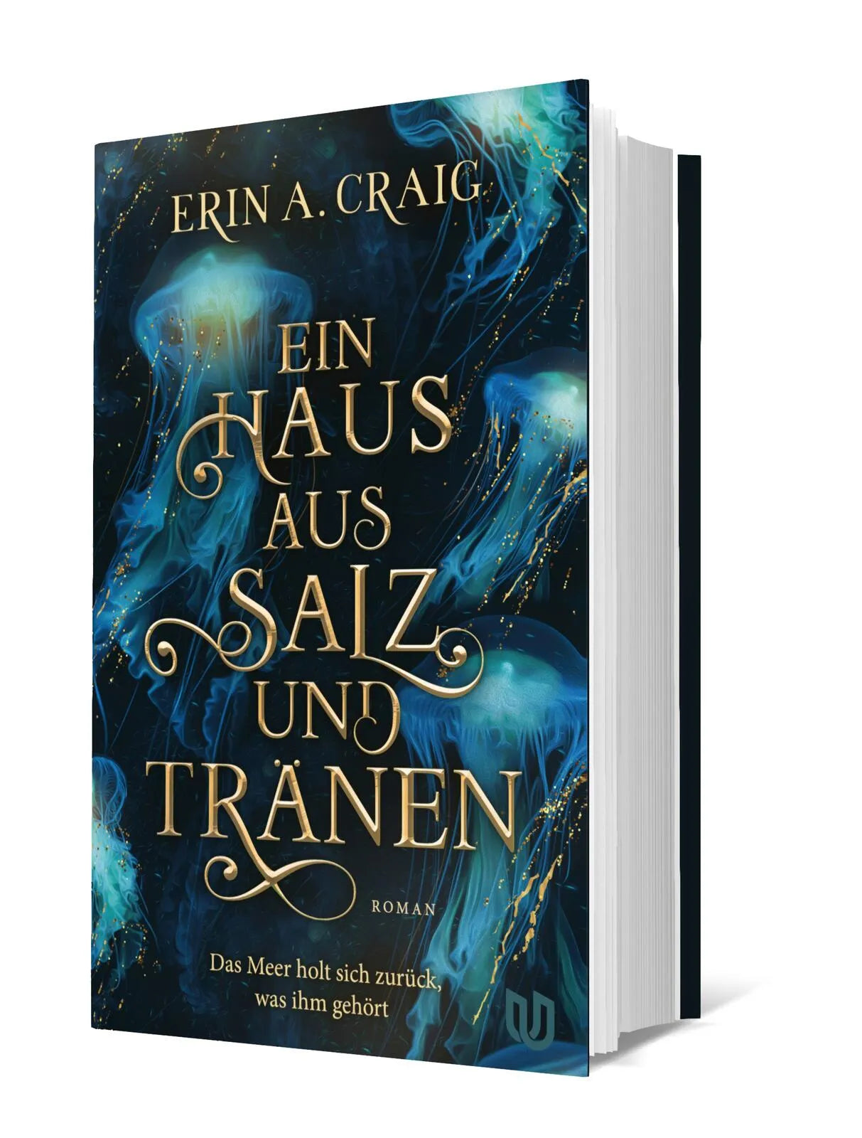 Erin A. Craig - Ein Haus aus Salz und Tränen