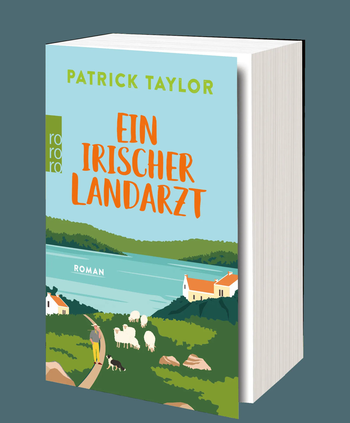 Detailansicht: Ein irischer Landarzt (Taschenbuch)