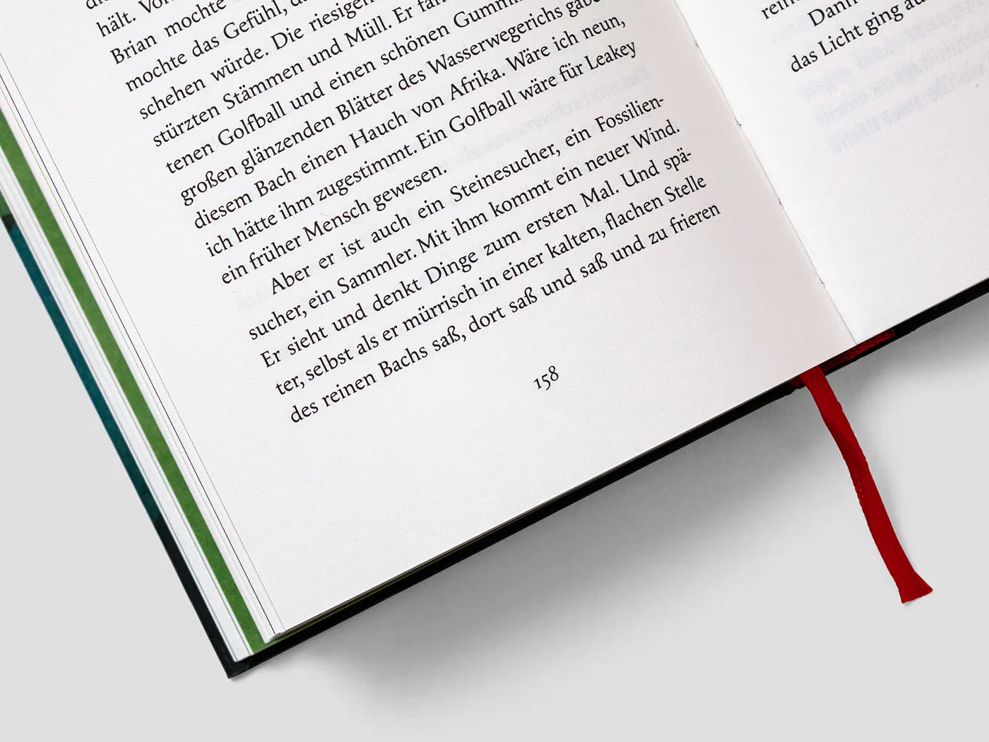 Innenansicht von 'Ein Jahr in der Natur' - Gebundene Ausgabe