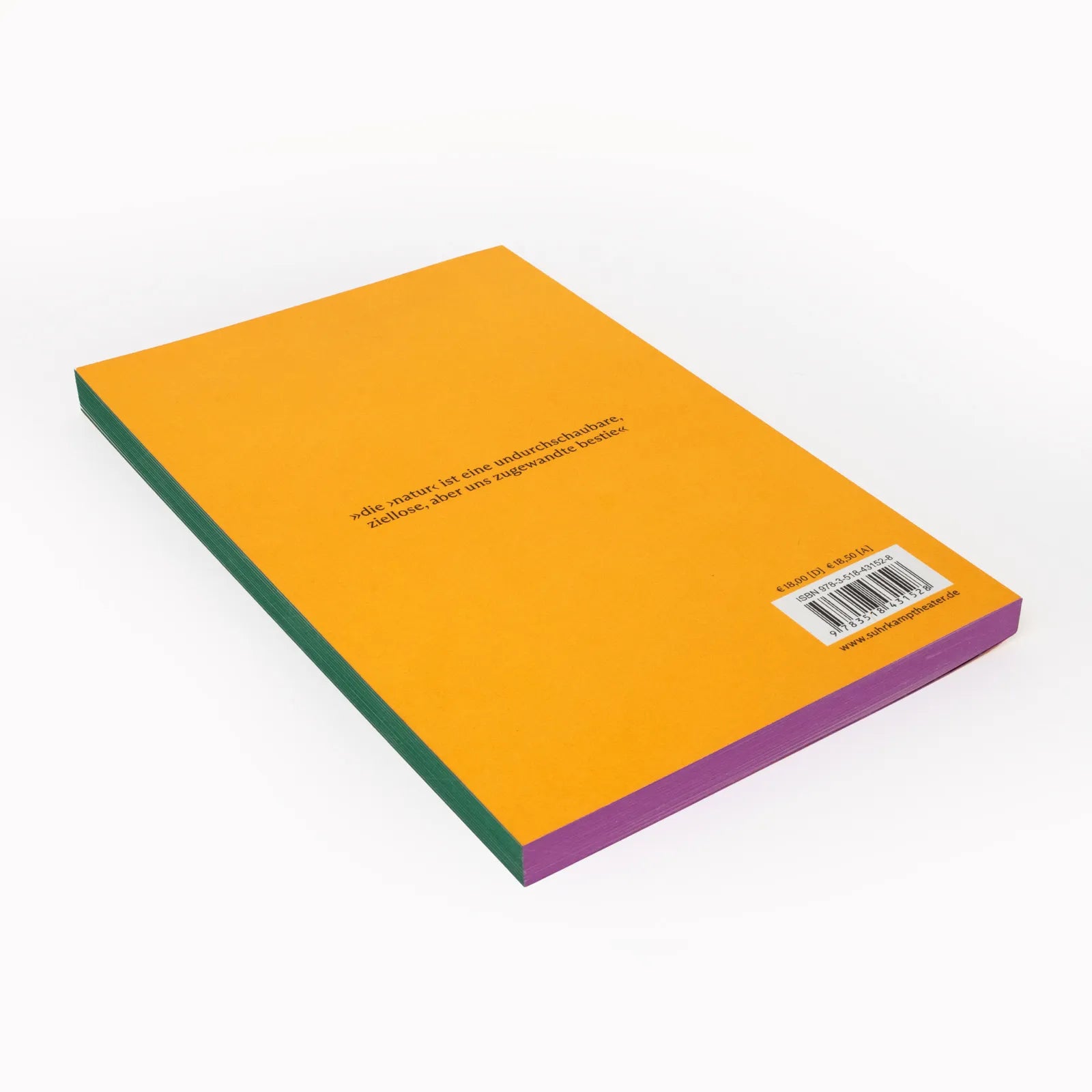 Produktansicht: ein körper ohne ort (Taschenbuch)