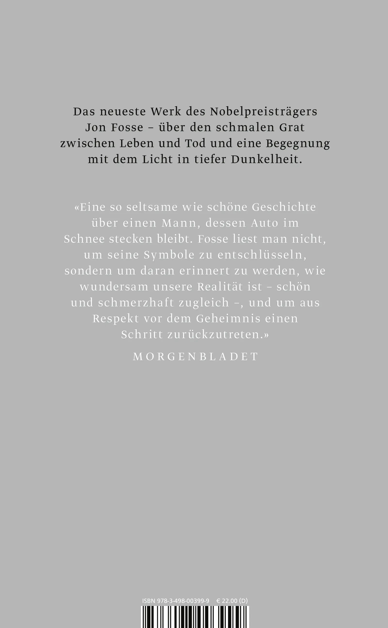 Buchrückseite von 'Ein Leuchten' mit Klappentext - Gebundene Ausgabe