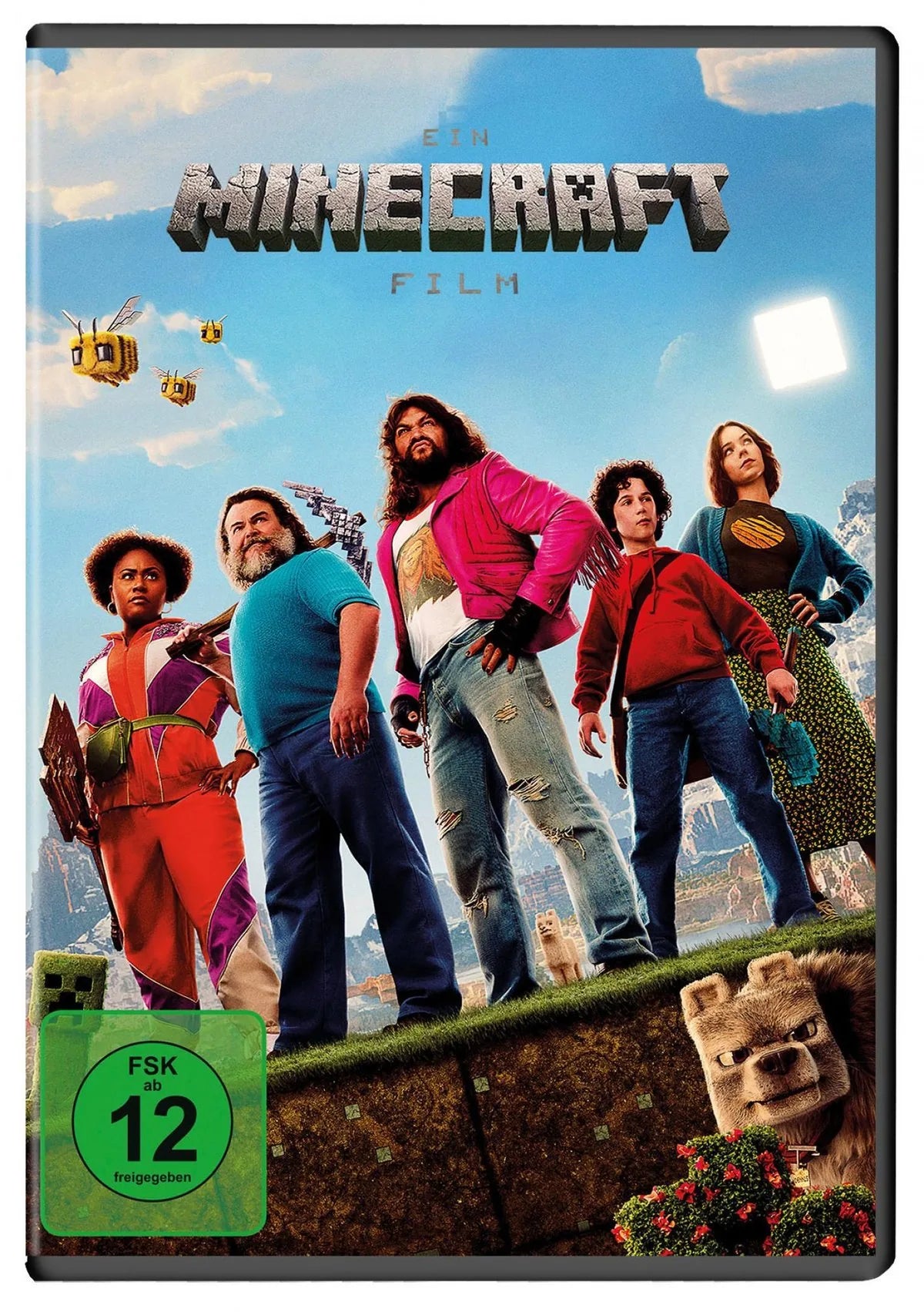 Ein Minecraft Film - DVD