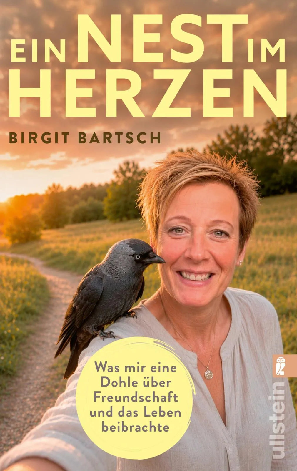 Cover: Ein Nest im Herzen (Taschenbuch) von Birgit Bartsch