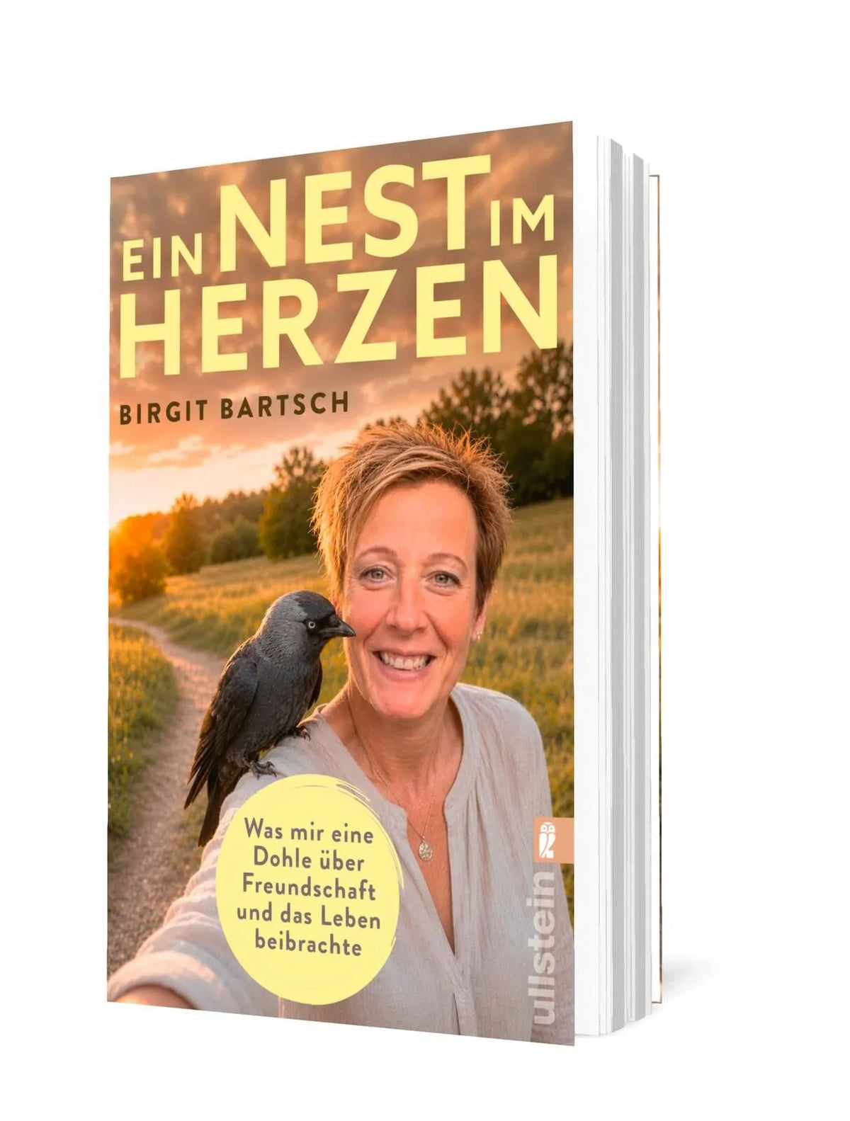 Detailansicht: Ein Nest im Herzen (Taschenbuch)