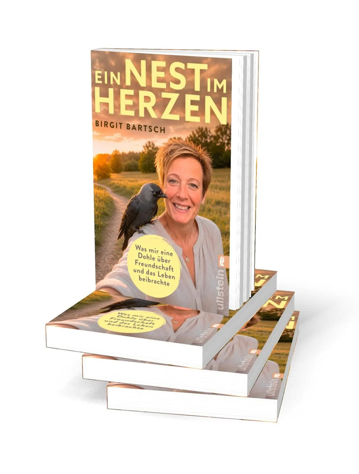 Detailansicht: Ein Nest im Herzen (Taschenbuch)