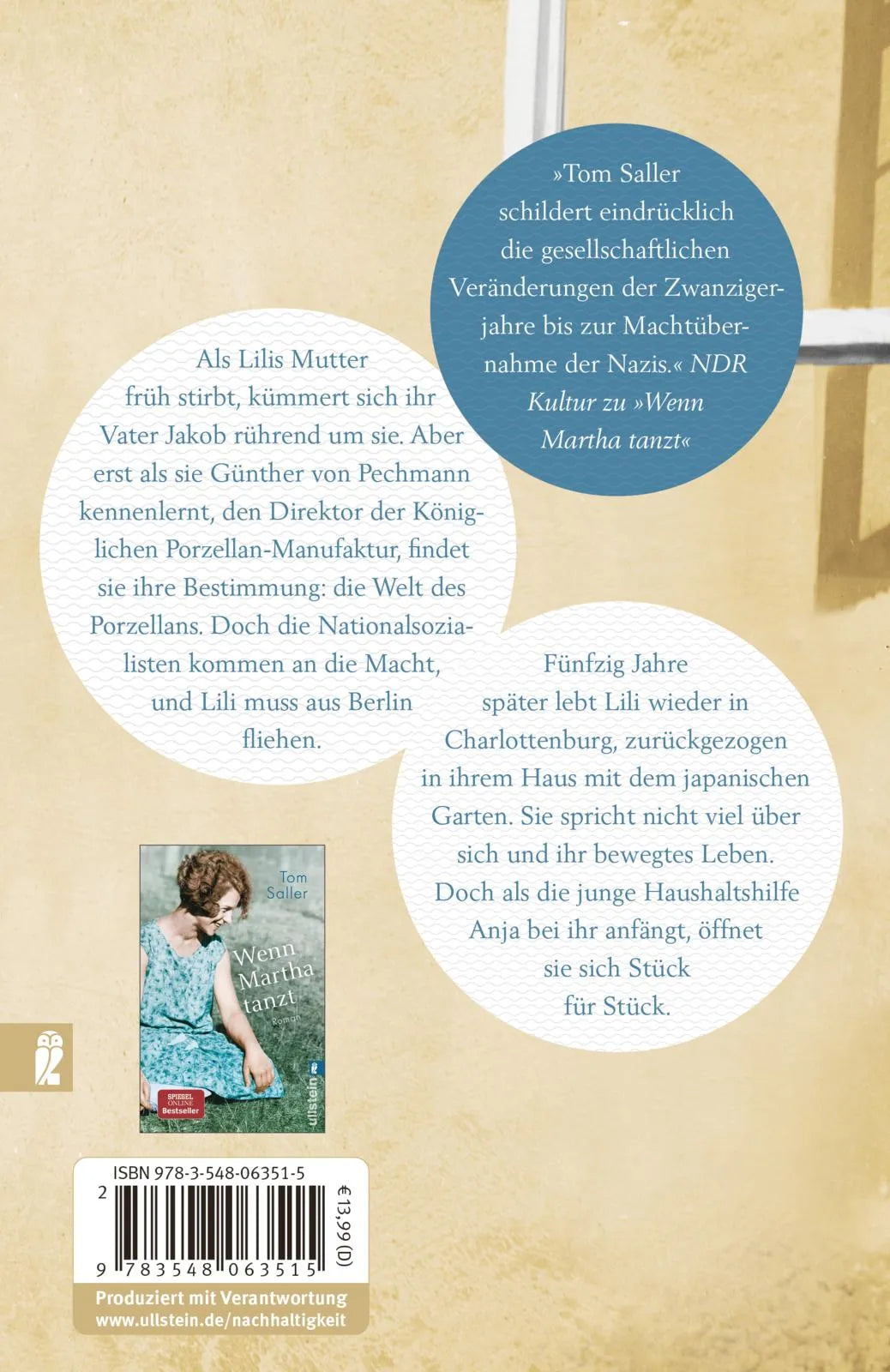 Buchrückseite von 'Ein neues Blau' mit Klappentext - Taschenbuch
