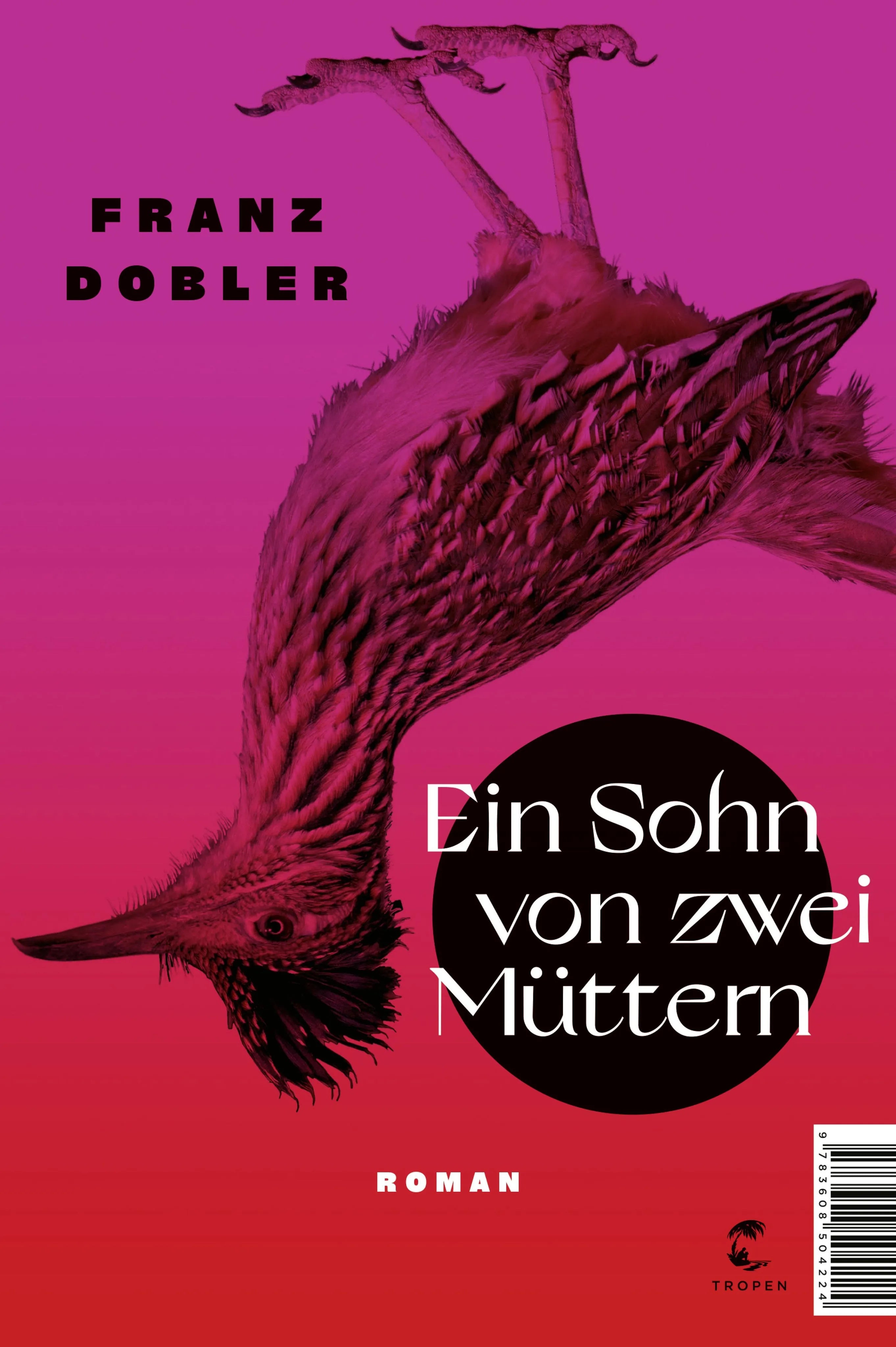 Cover: Ein Sohn von zwei Müttern (E-Book) von Franz Dobler