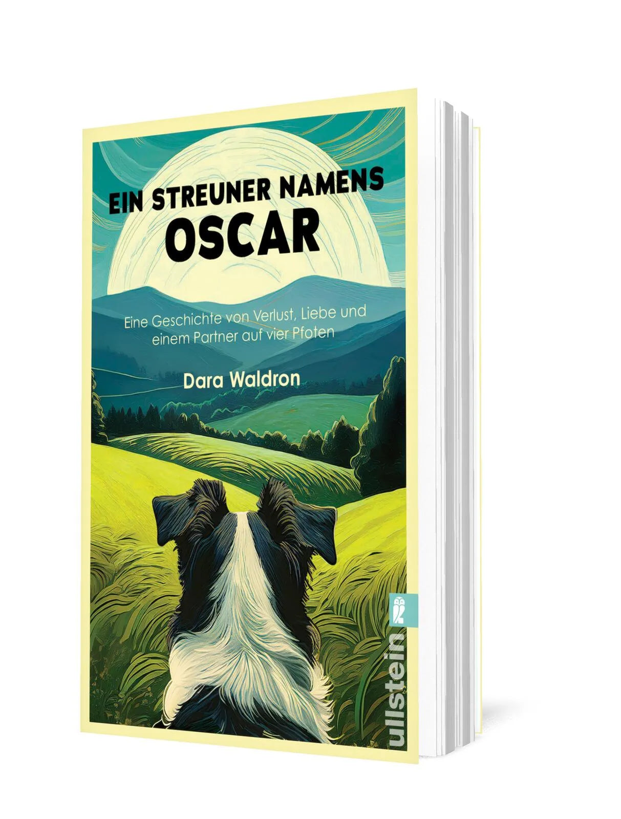 Detailansicht: Ein Streuner namens Oscar (Taschenbuch)
