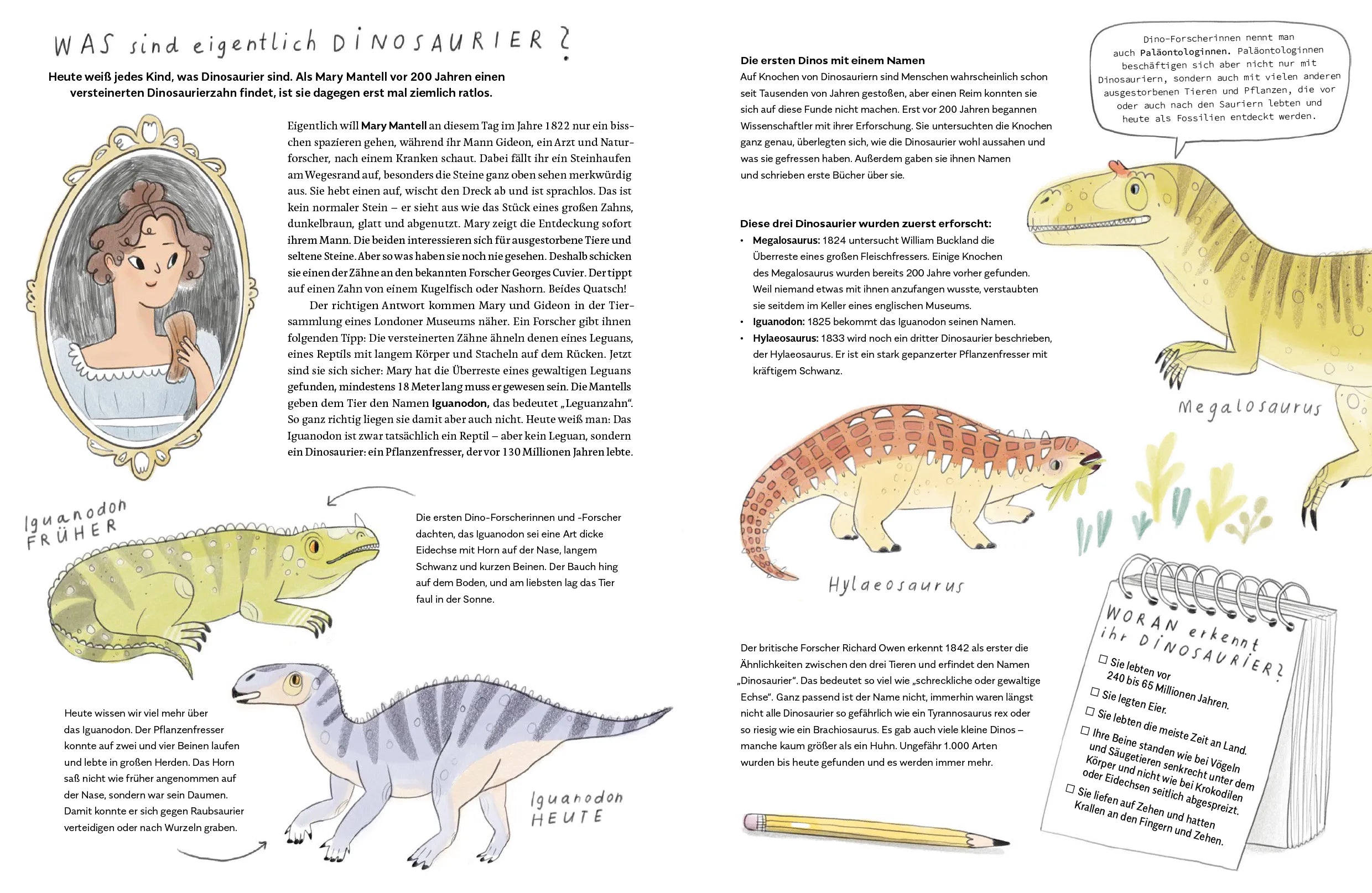 Produktansicht: Ein T-Rex namens Sue (Gebundene Ausgabe)