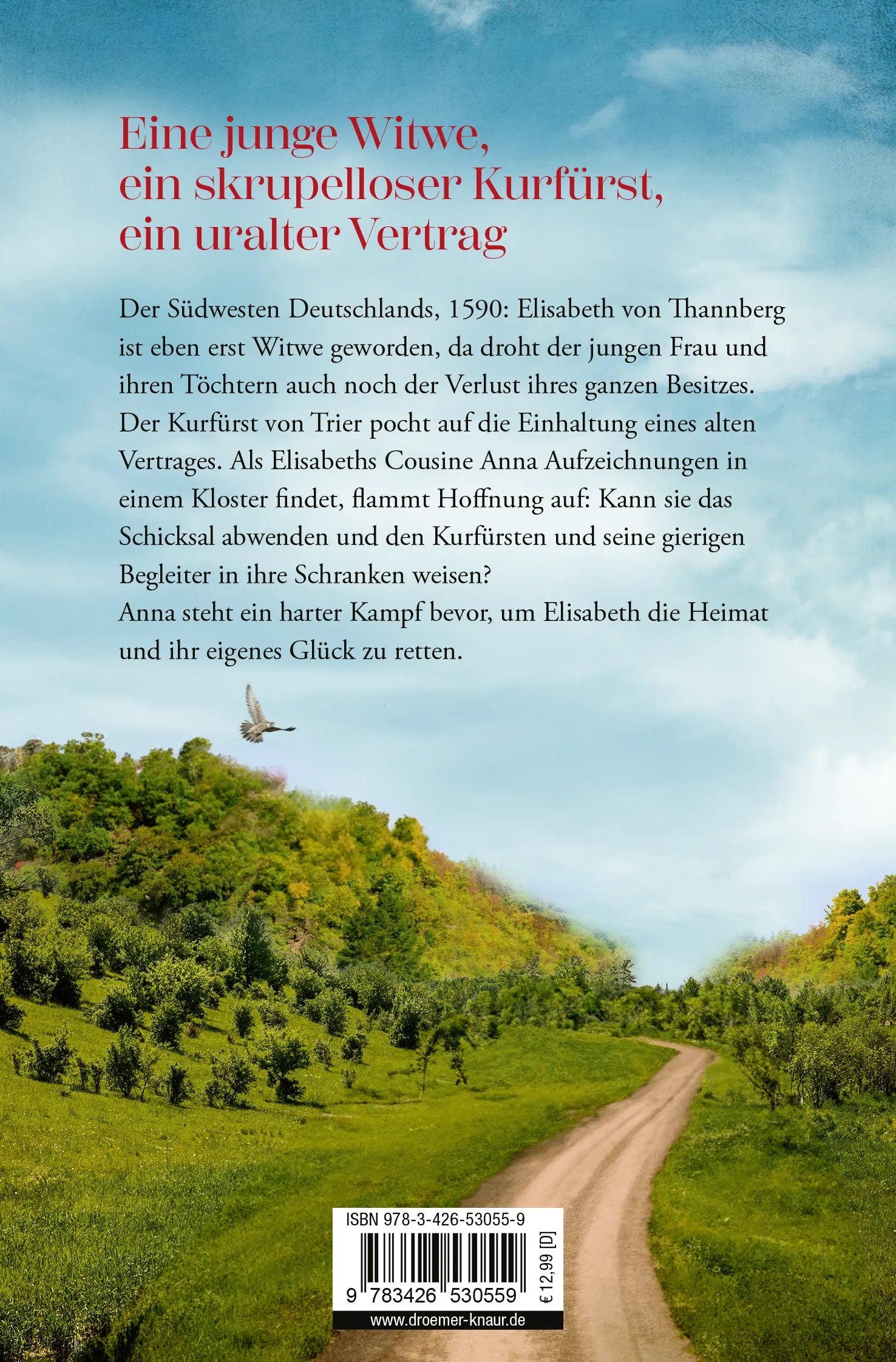 Buchrückseite von 'Ein verhängnisvolles Testament' mit Klappentext - Taschenbuch