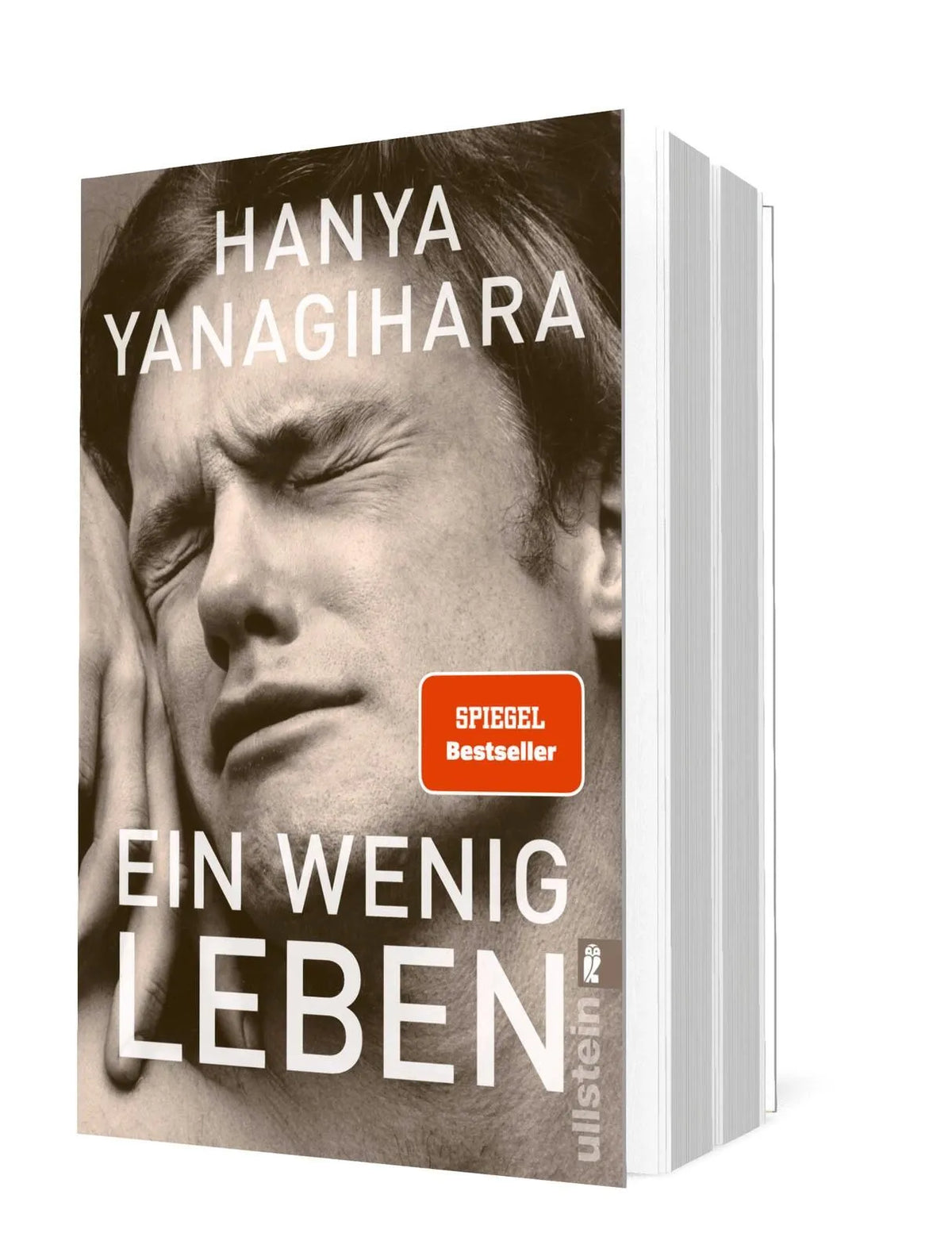 Detailansicht: Ein wenig Leben (Taschenbuch)
