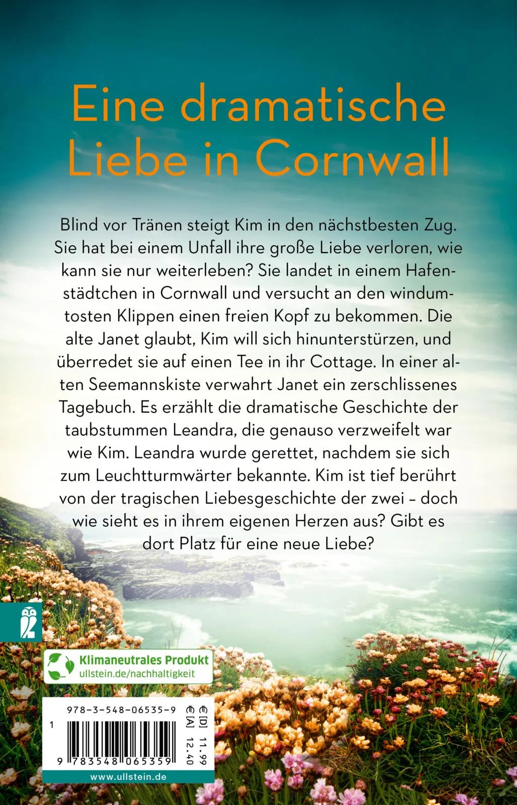 Buchrückseite von 'Ein Zimmer über dem Meer' mit Klappentext - Taschenbuch
