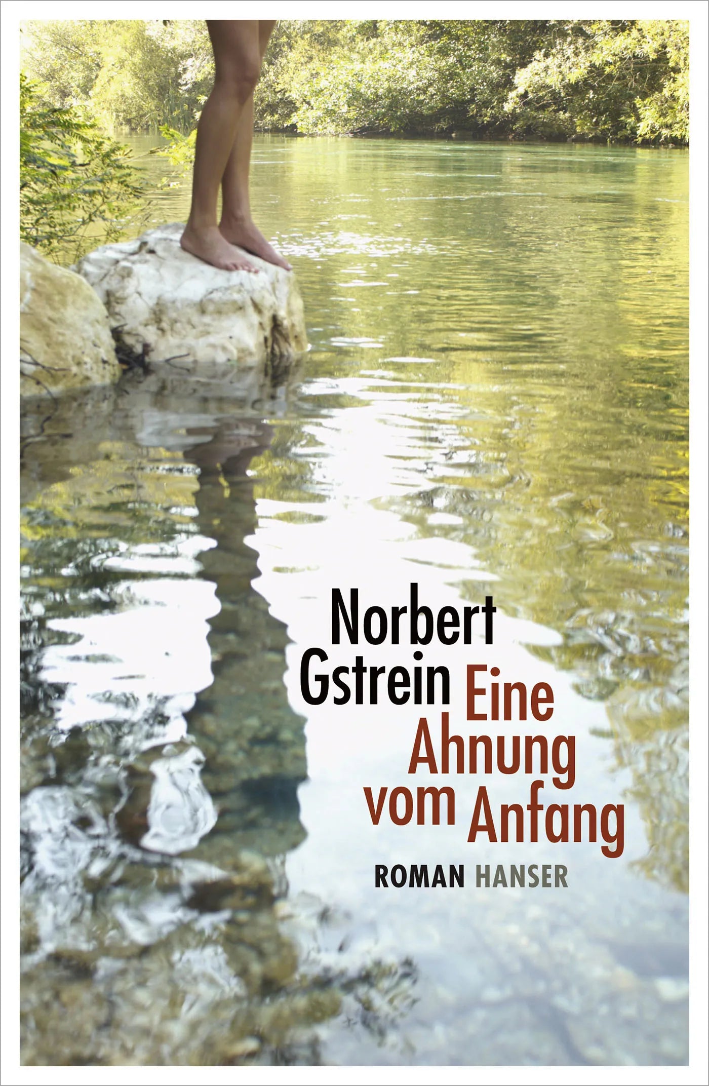 Buchcover von 'Eine Ahnung vom Anfang' - Gebundene Ausgabe von Norbert Gstrein