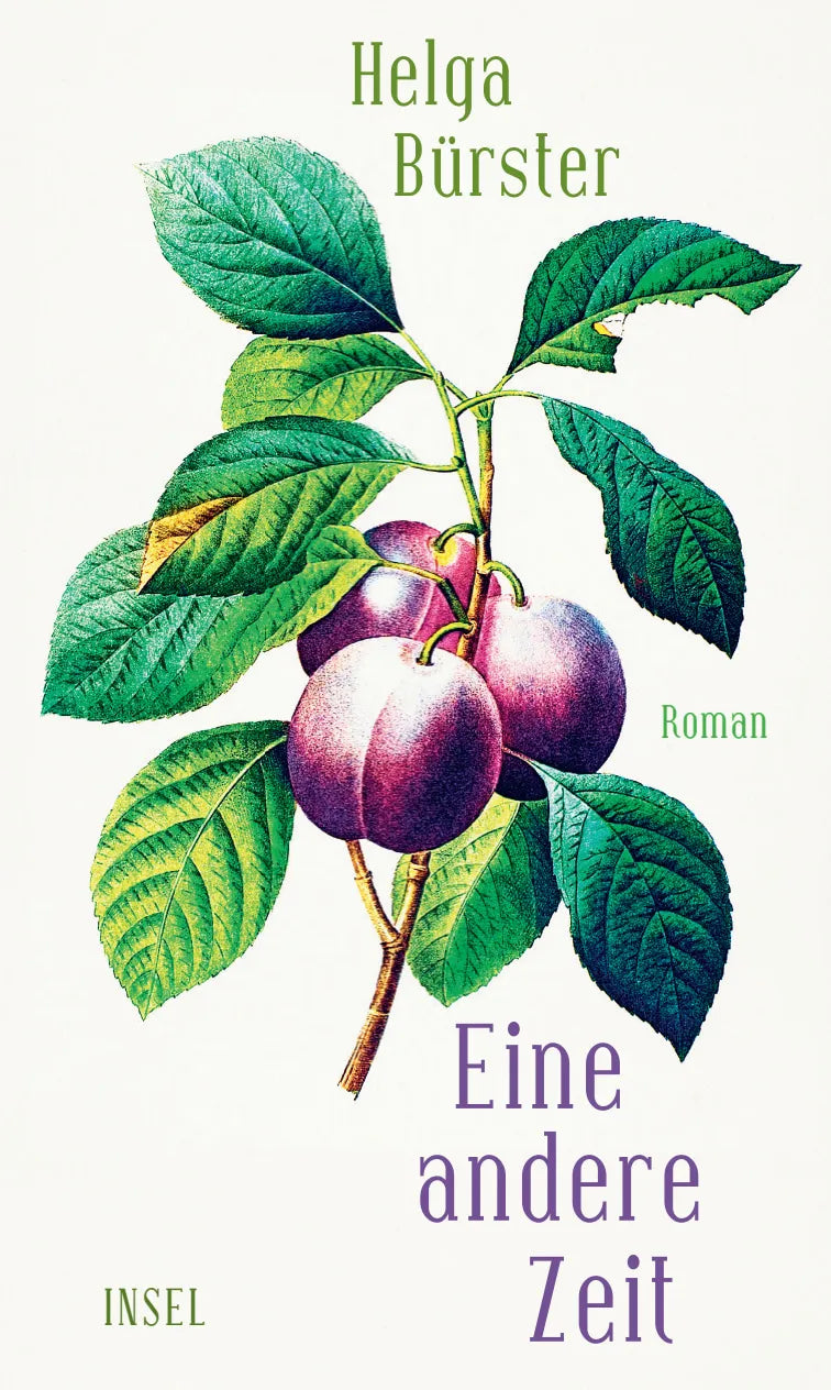 Buchcover von 'Eine andere Zeit' - Gebundene Ausgabe von Helga Bürster