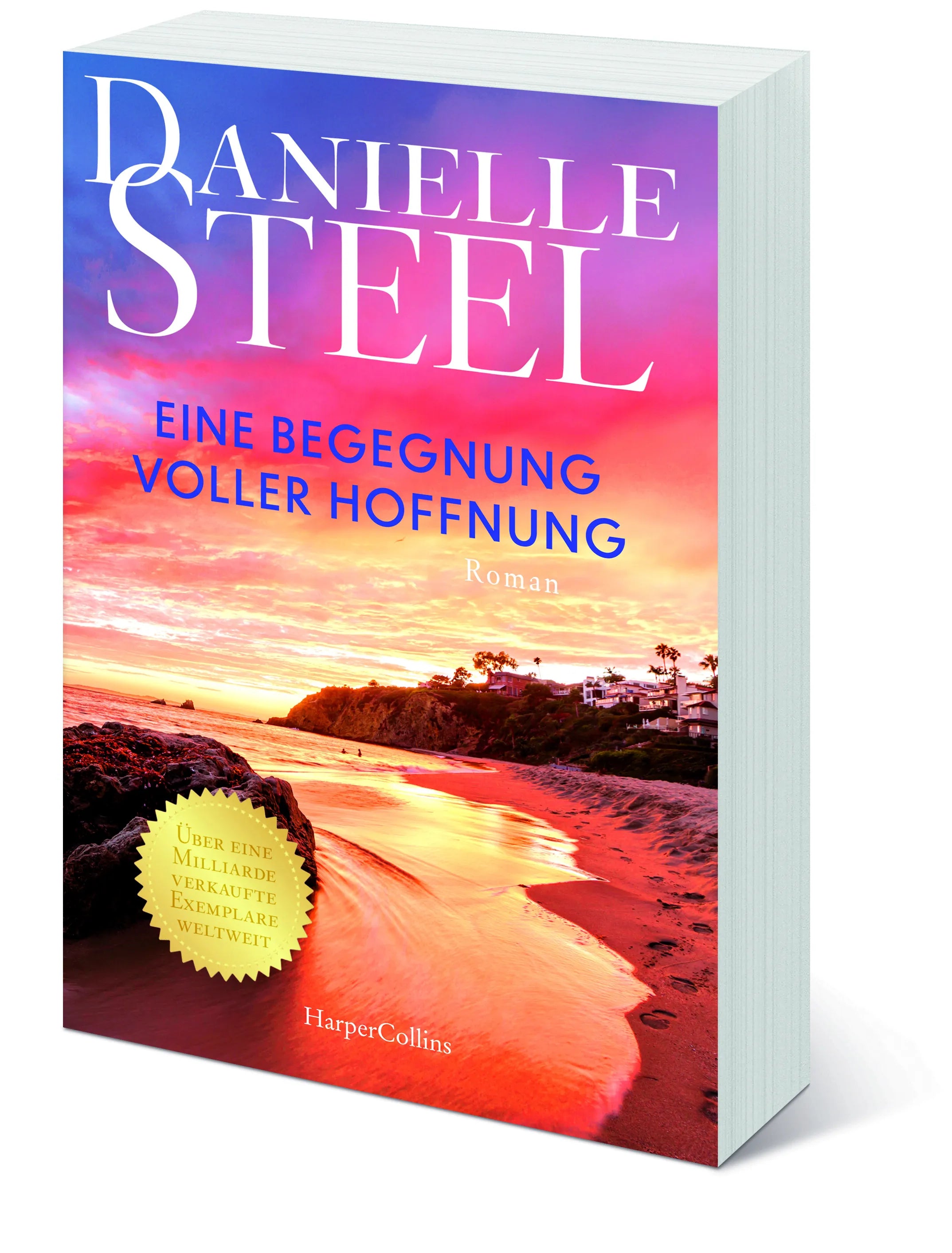 Danielle Steel - Eine Begegnung voller Hoffnung