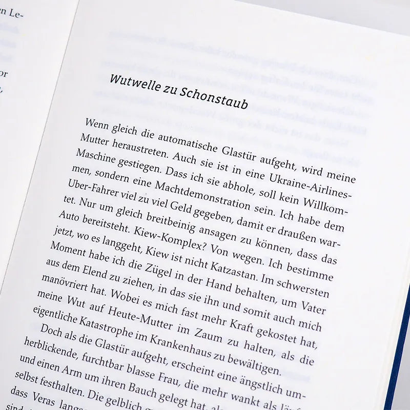 Produktansicht: Eine Formalie in Kiew (Gebundene Ausgabe)