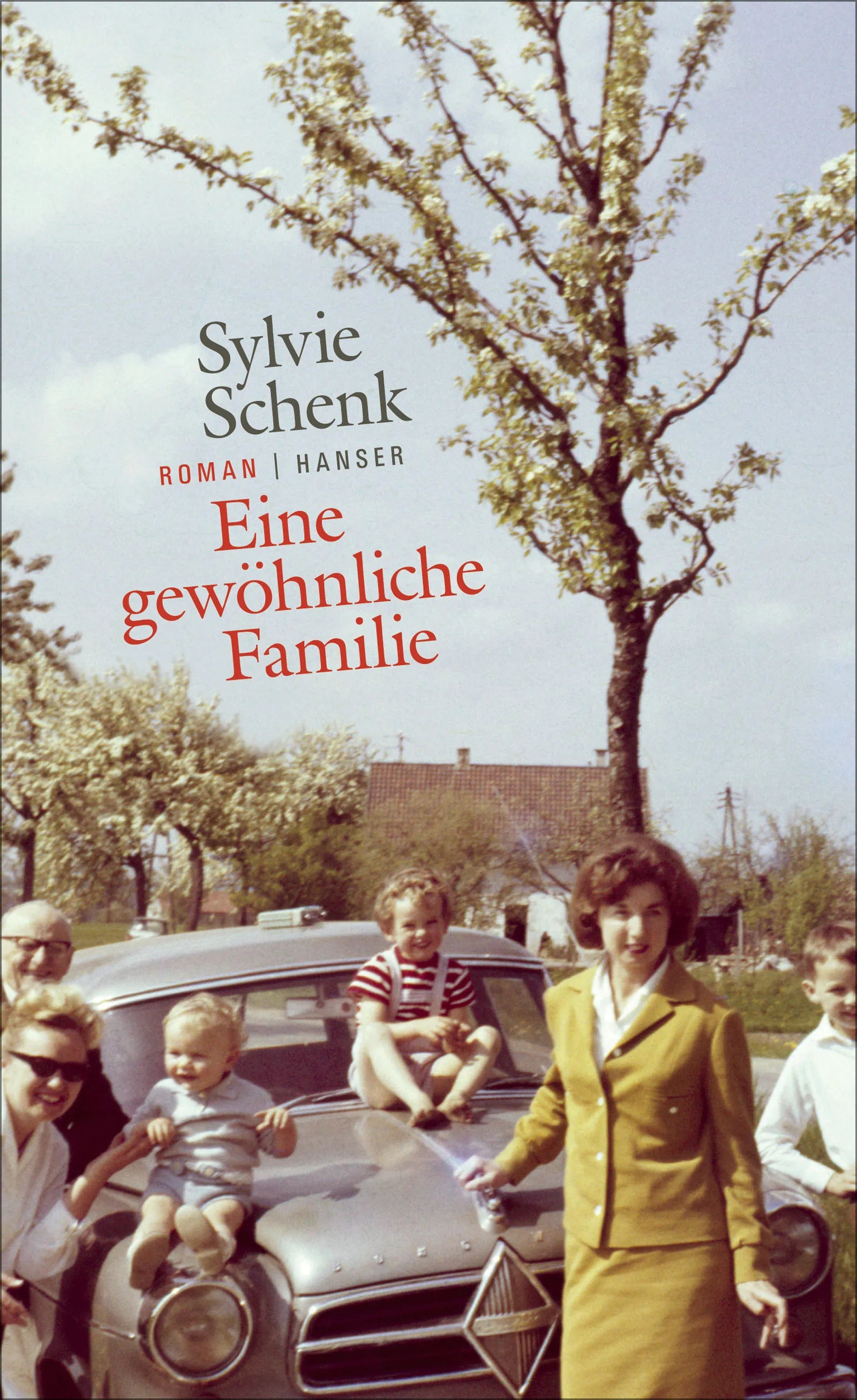 Buchcover von 'Eine gewöhnliche Familie' - Gebundene Ausgabe von Sylvie Schenk