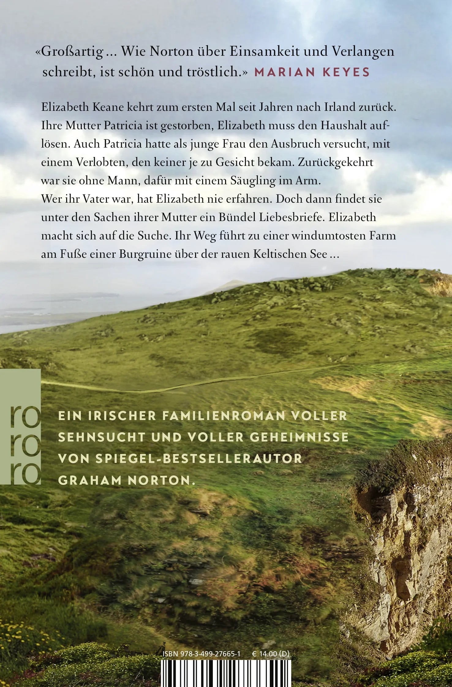 Buchrückseite von 'Eine irische Familiengeschichte' mit Klappentext - Taschenbuch