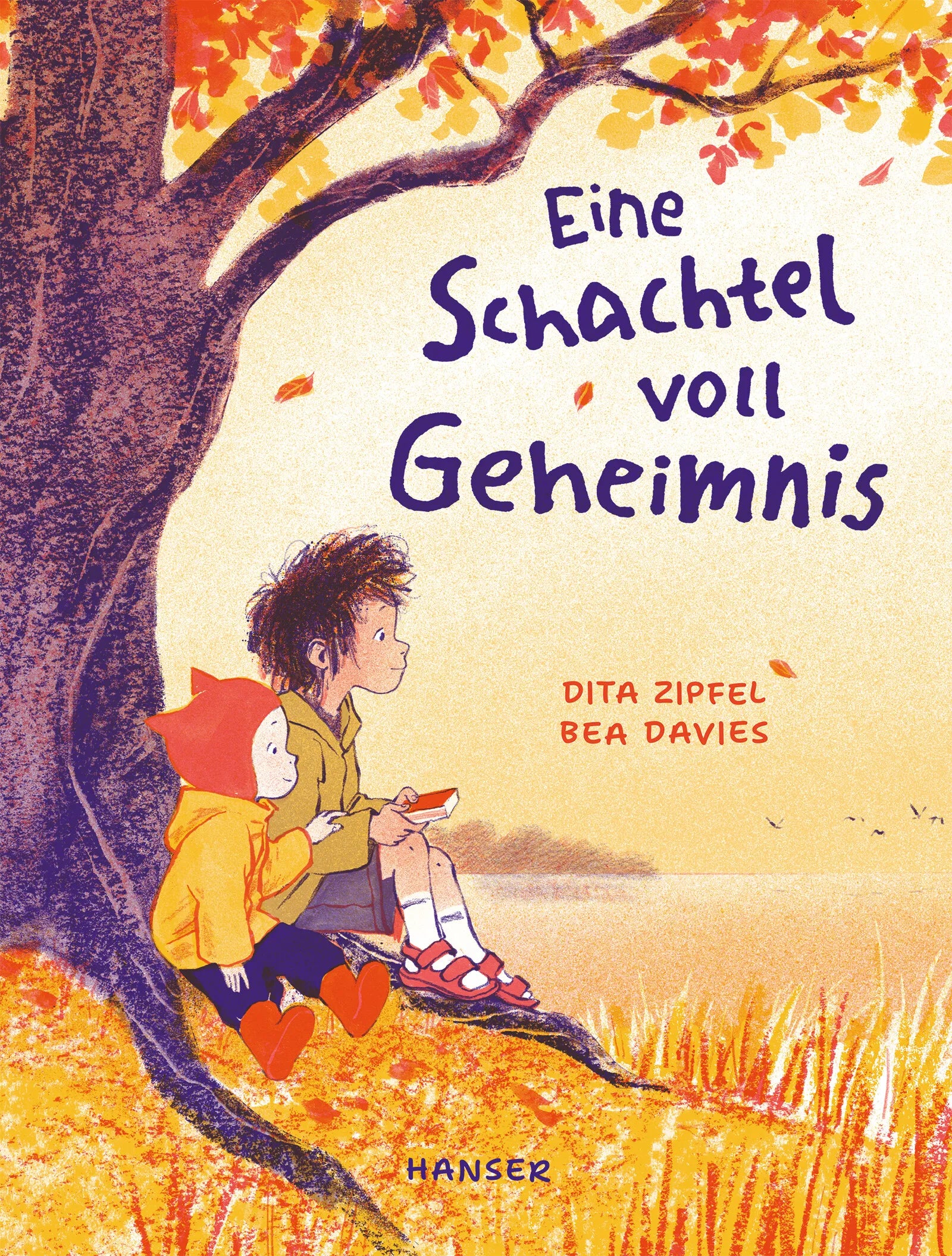 Cover: Eine Schachtel voll Geheimnis (Hardcover) von Dita Zipfel