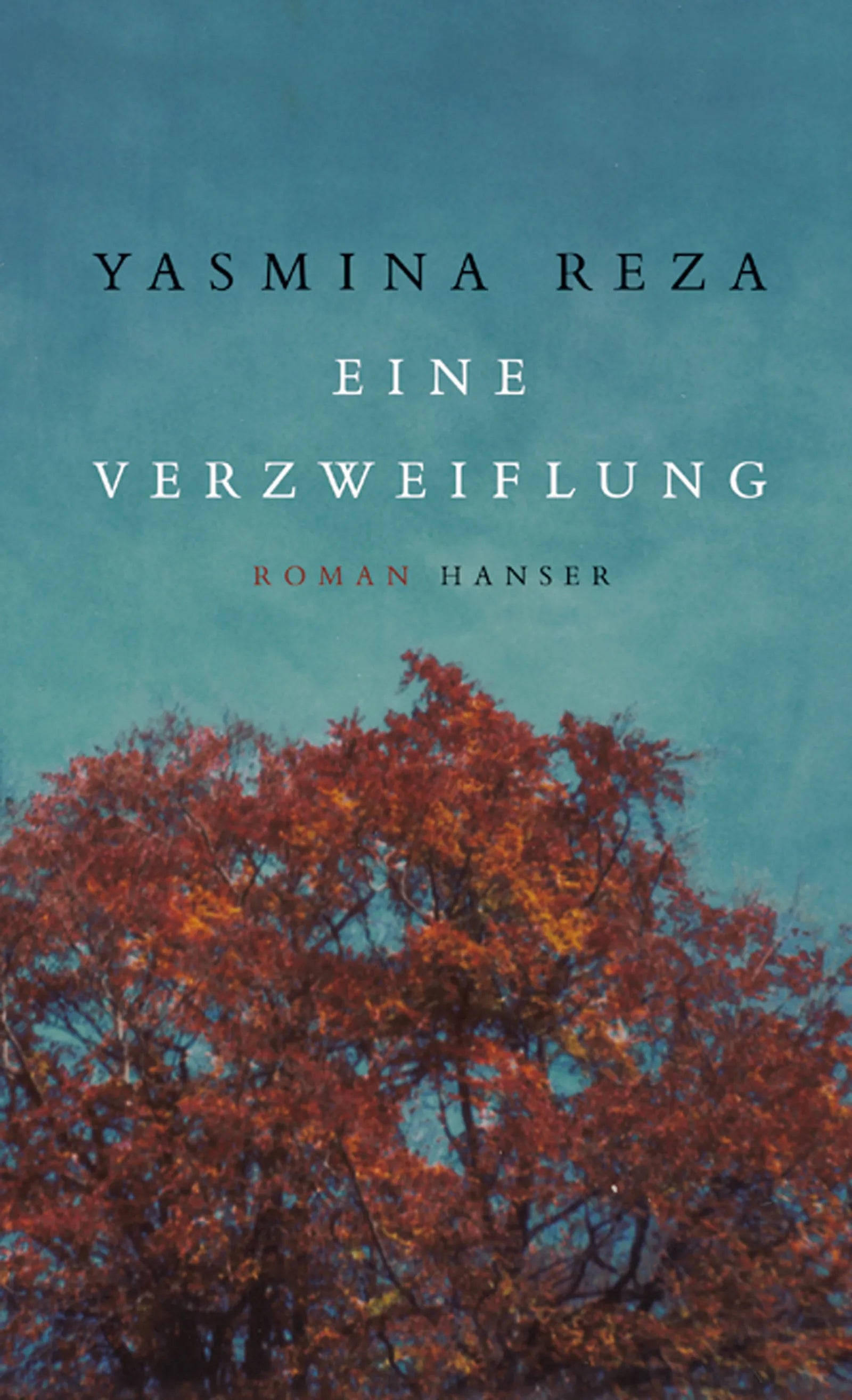 Buchcover von 'Eine Verzweiflung' - Gebundene Ausgabe von Yasmina Reza