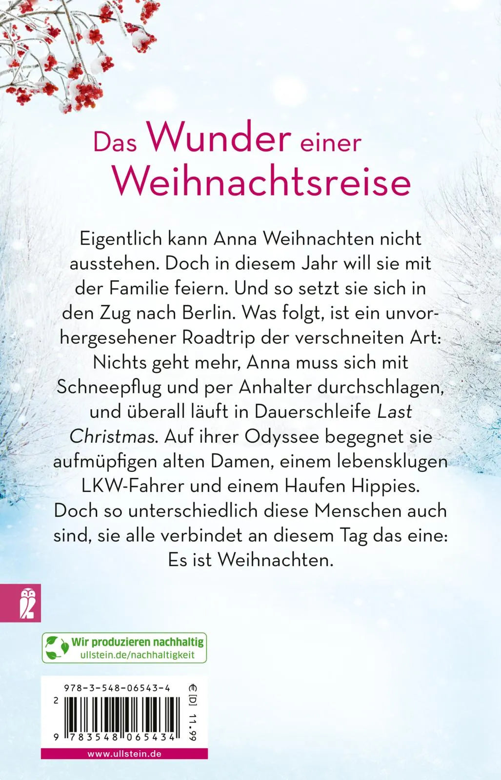 Buchrückseite von 'Eine wundersame Weihnachtsreise' mit Klappentext - Taschenbuch