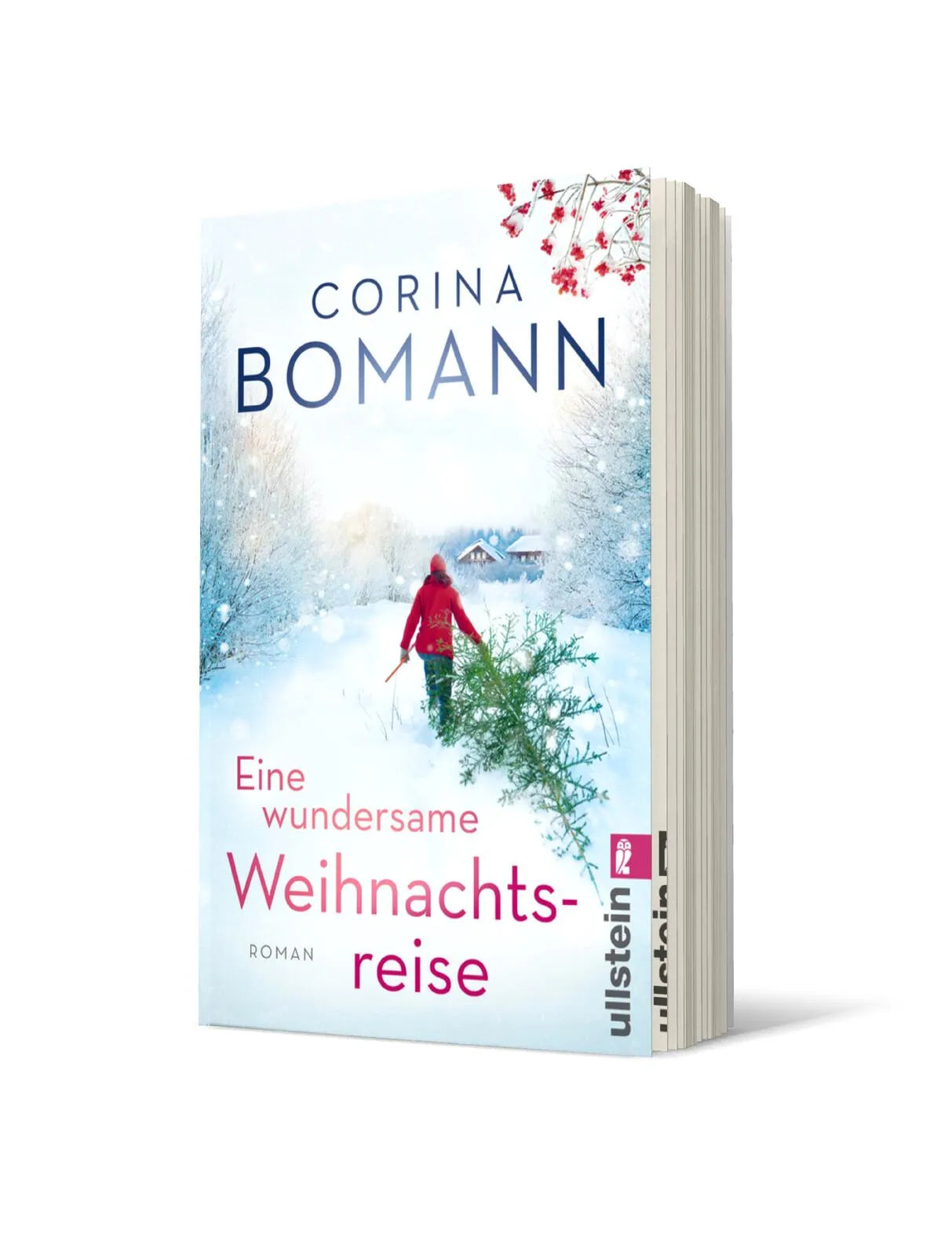 Produktansicht: Eine wundersame Weihnachtsreise (Taschenbuch)