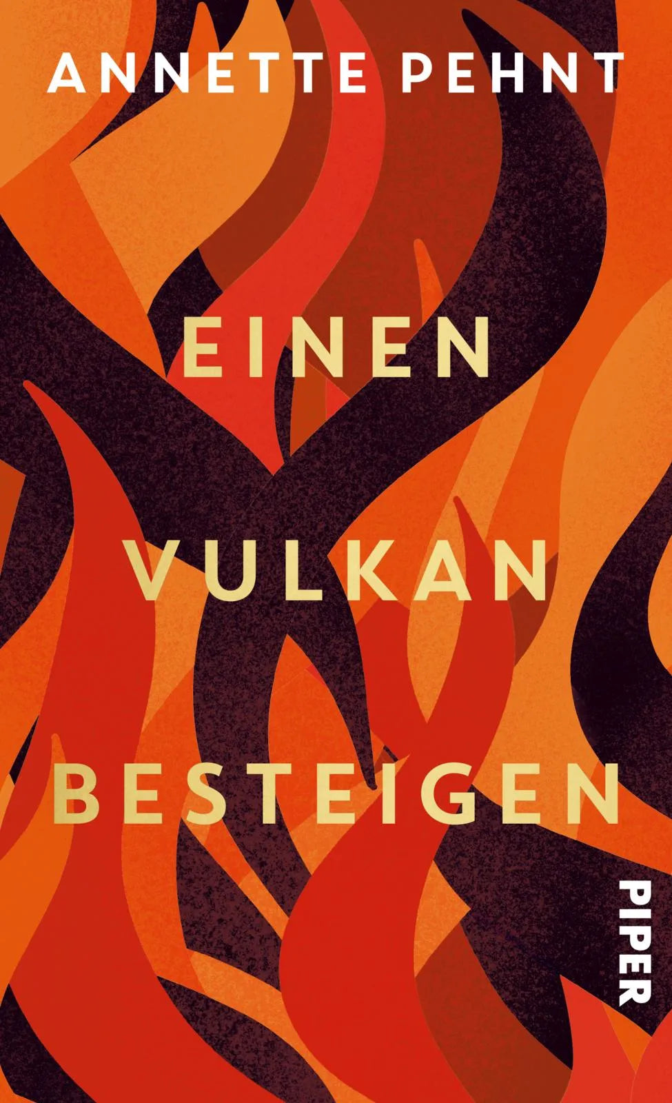 Buchcover von 'Einen Vulkan besteigen' - Gebundene Ausgabe von Annette Pehnt