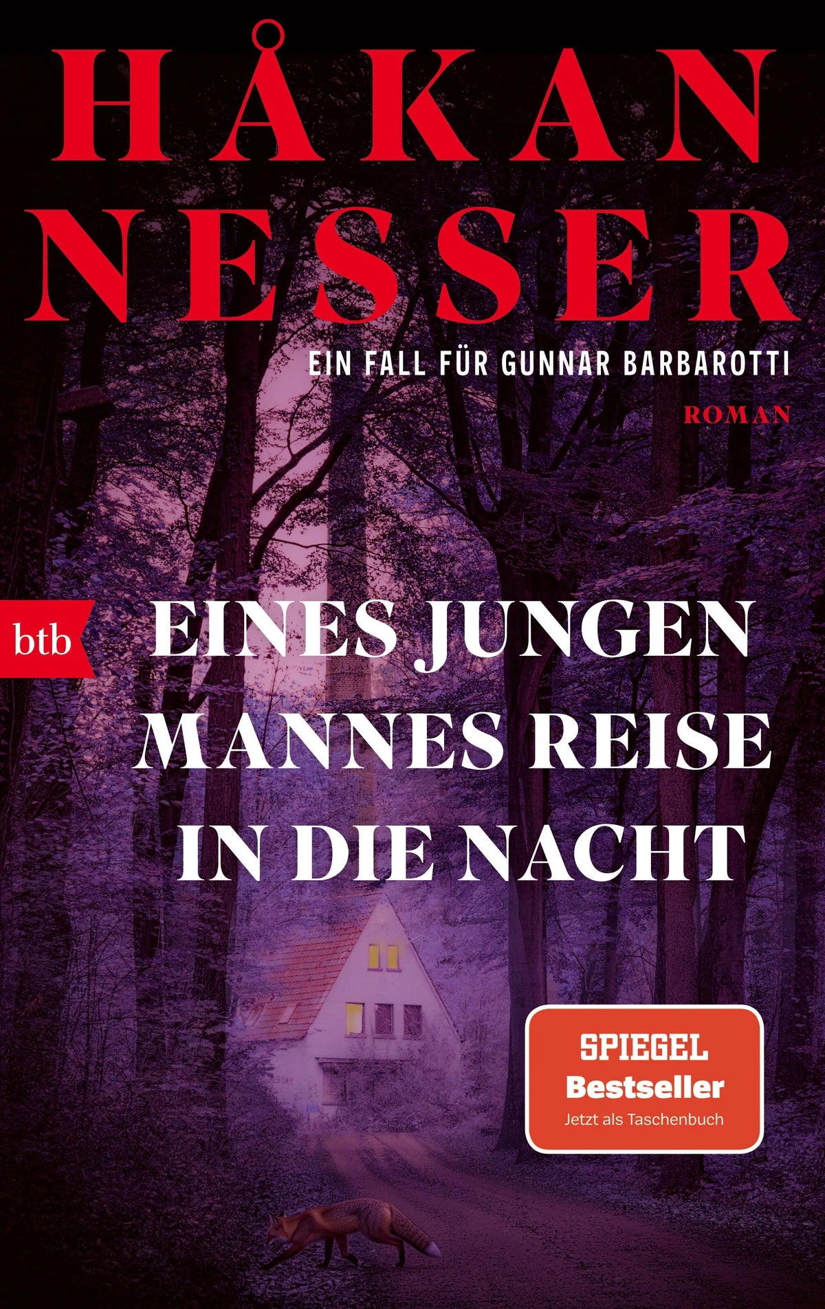 Cover: Eines jungen Mannes Reise in die Nacht (Taschenbuch) von Håkan Nesser