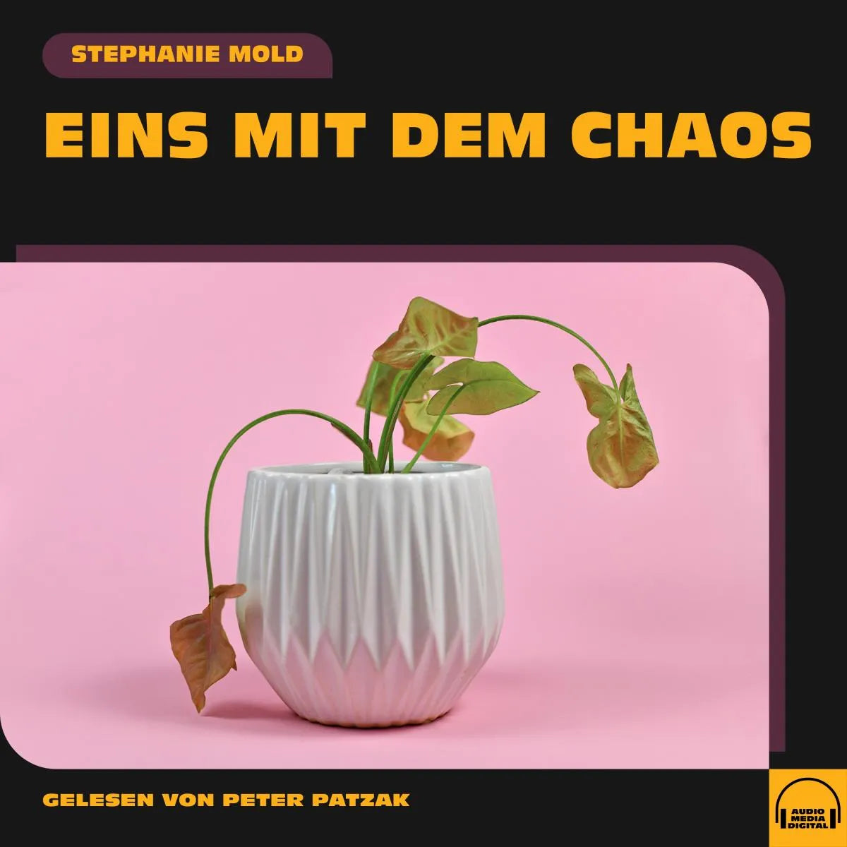 Cover: Eins mit dem Chaos (Hörbuch Download) von Stephanie Mold