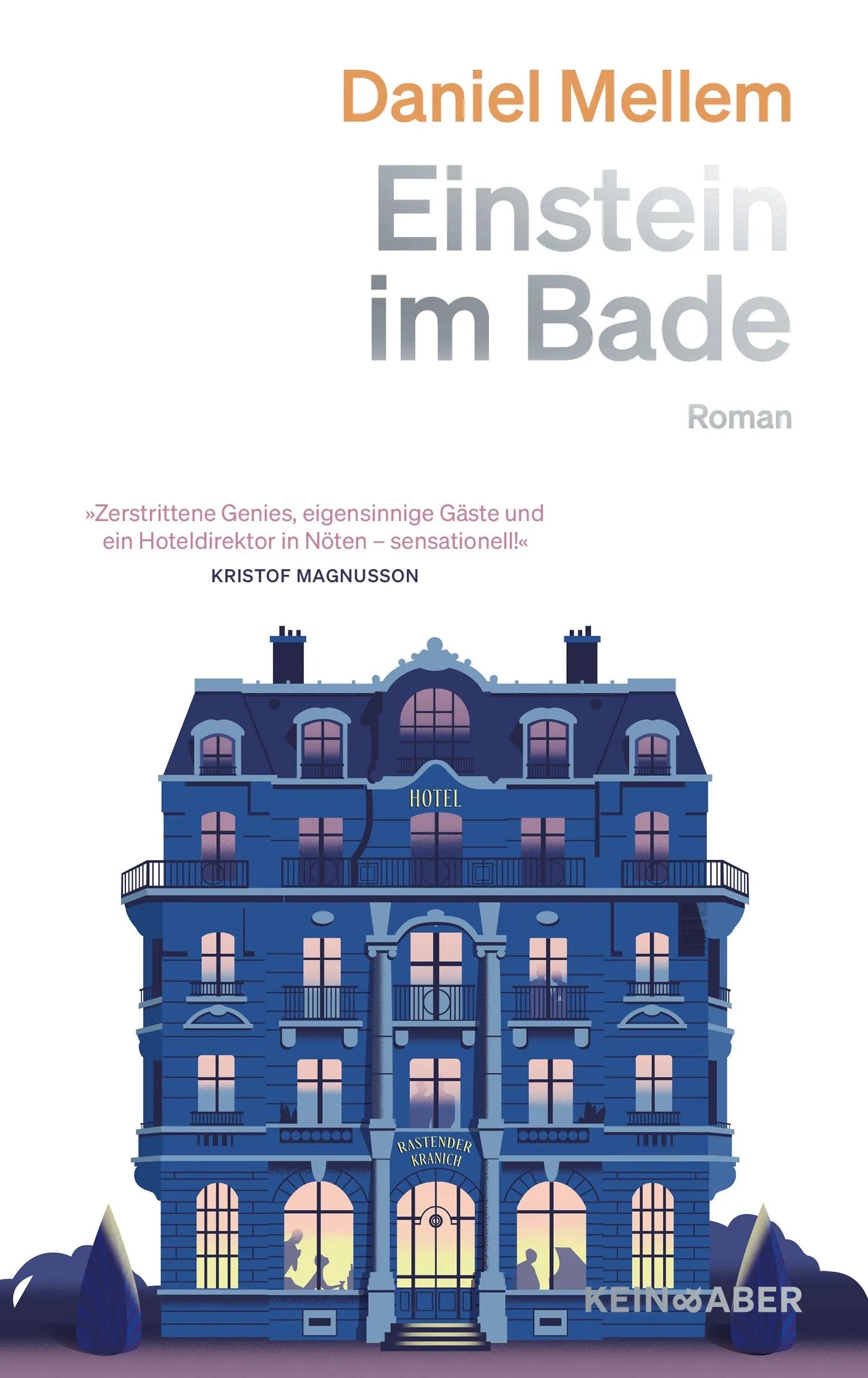Cover: Einstein im Bade (Hardcover) von Daniel Mellem