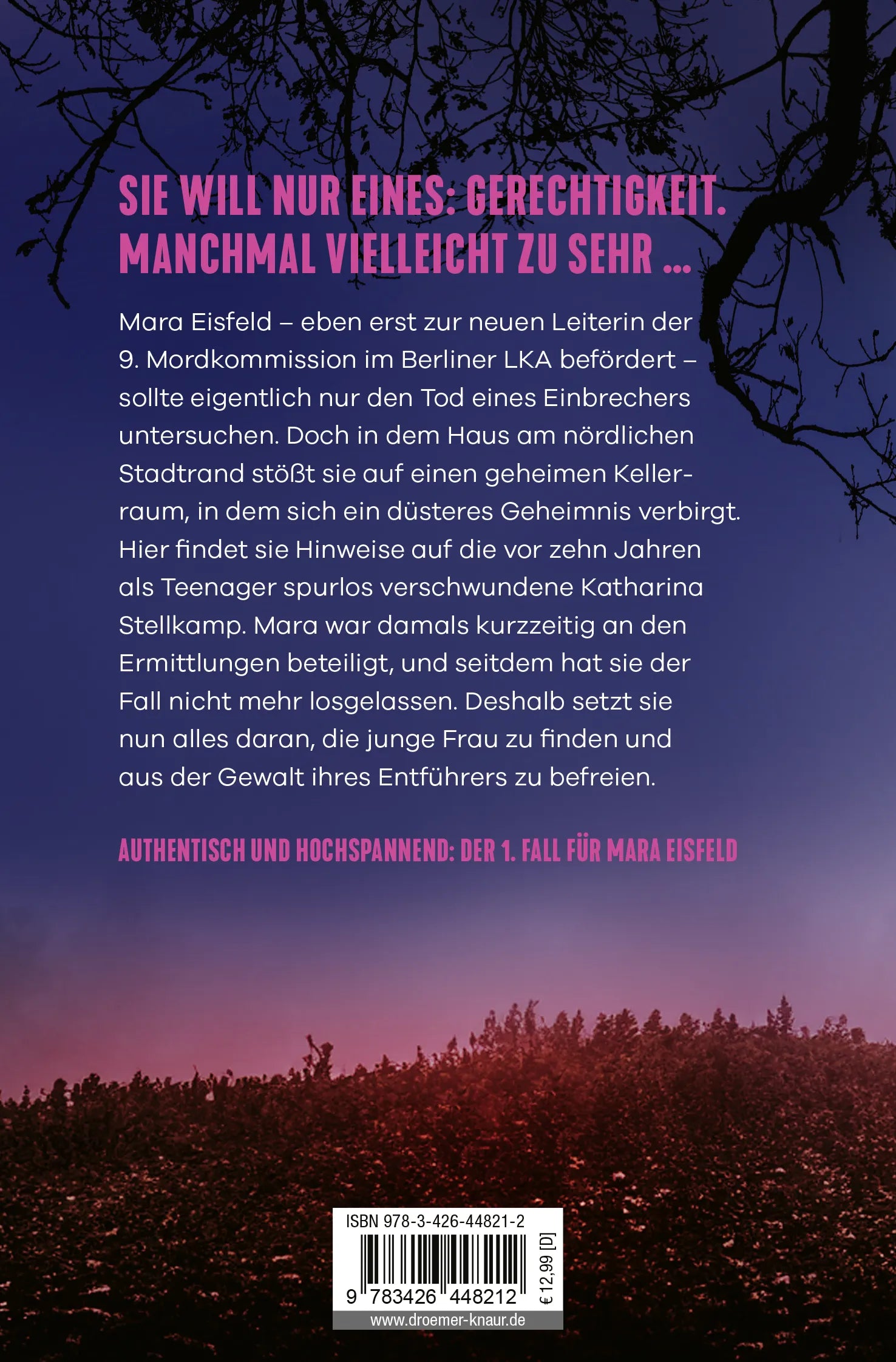 Buchrückseite von 'Eisfeld - Der Fall Katharina S.' mit Klappentext - Taschenbuch