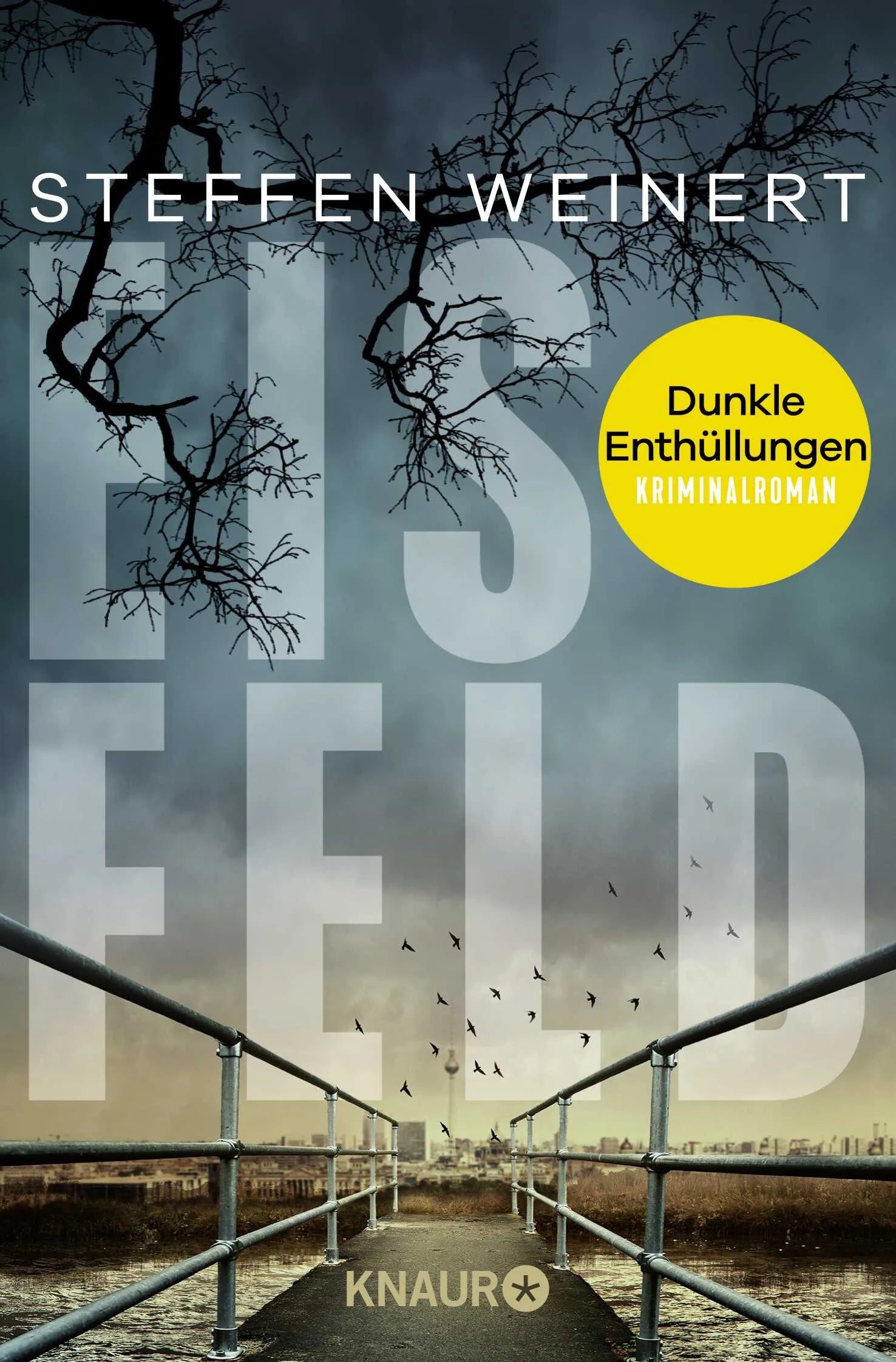 Buchcover von 'Eisfeld – Dunkle Enthüllungen' - Taschenbuch von Steffen Weinert