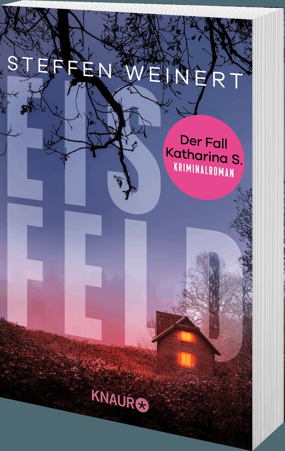 Detailansicht: Eisfeld - Der Fall Katharina S. (Taschenbuch)