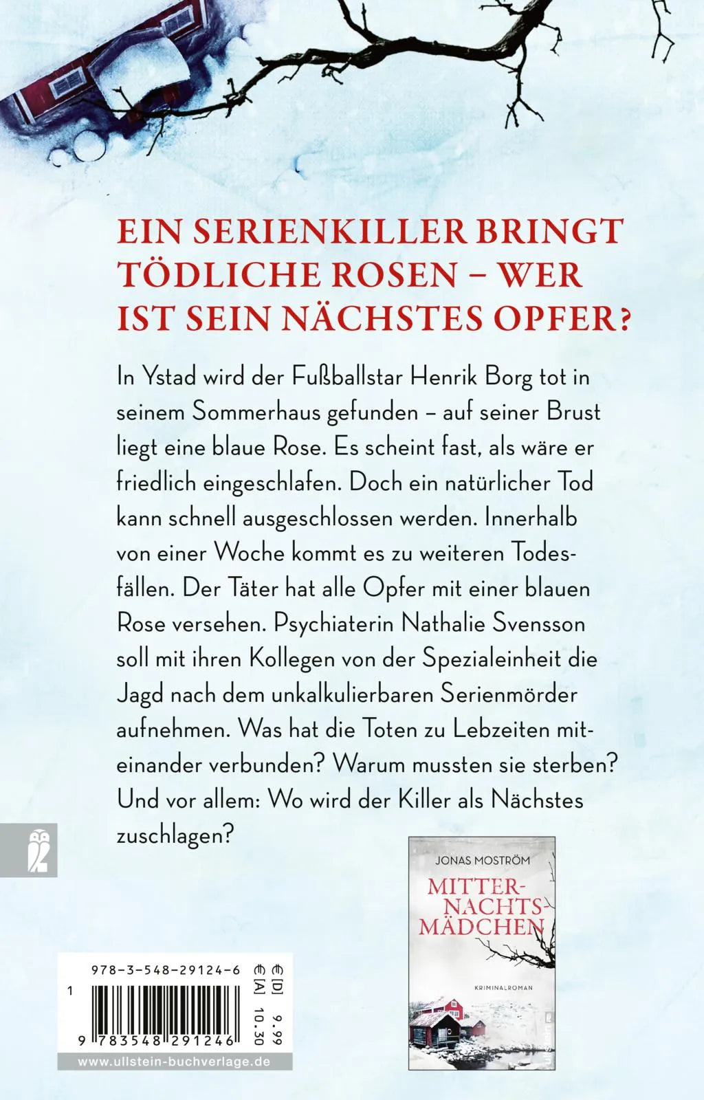 Buchrückseite von 'Eisige Dornen' mit Klappentext - Taschenbuch