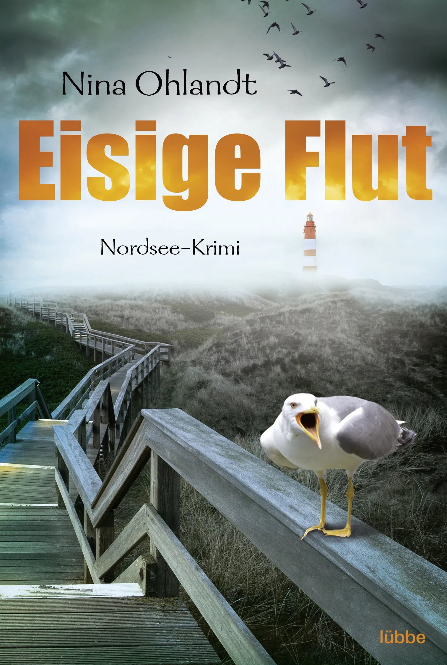 Buchcover von 'Eisige Flut' - Taschenbuch von Nina Ohlandt