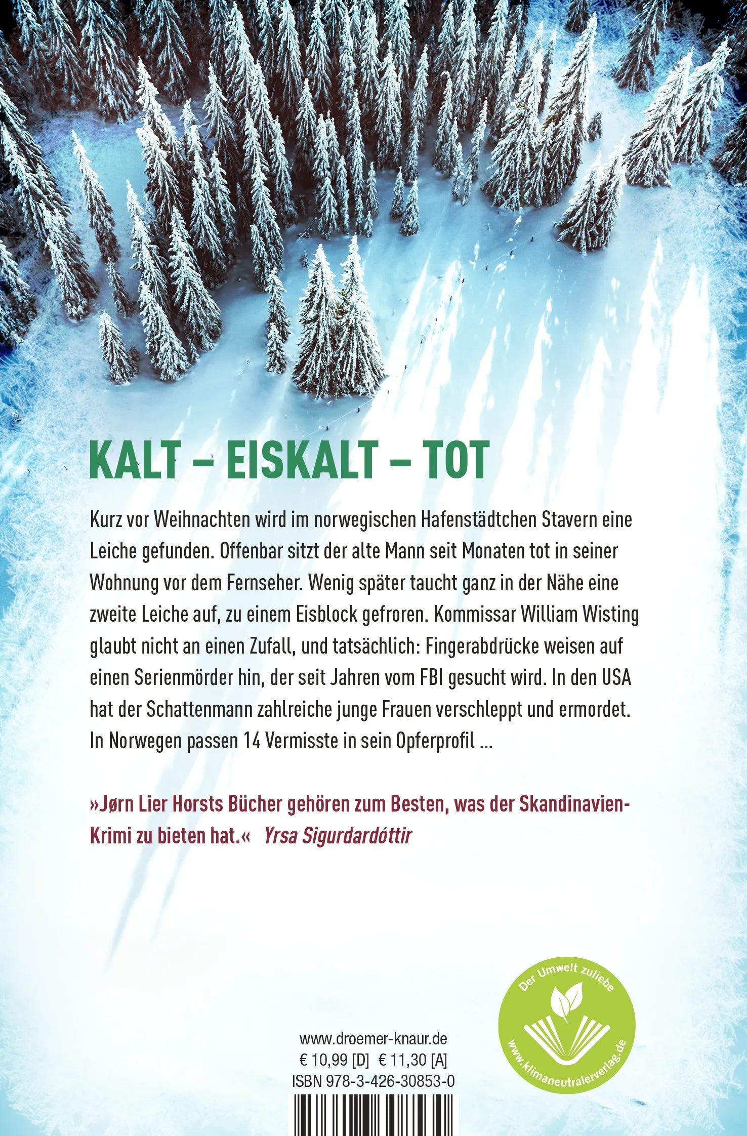 Buchrückseite von 'Eisige Schatten' mit Klappentext - Taschenbuch
