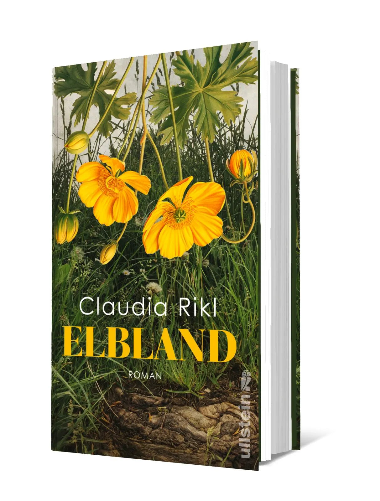 Claudia Rikl - Elbland