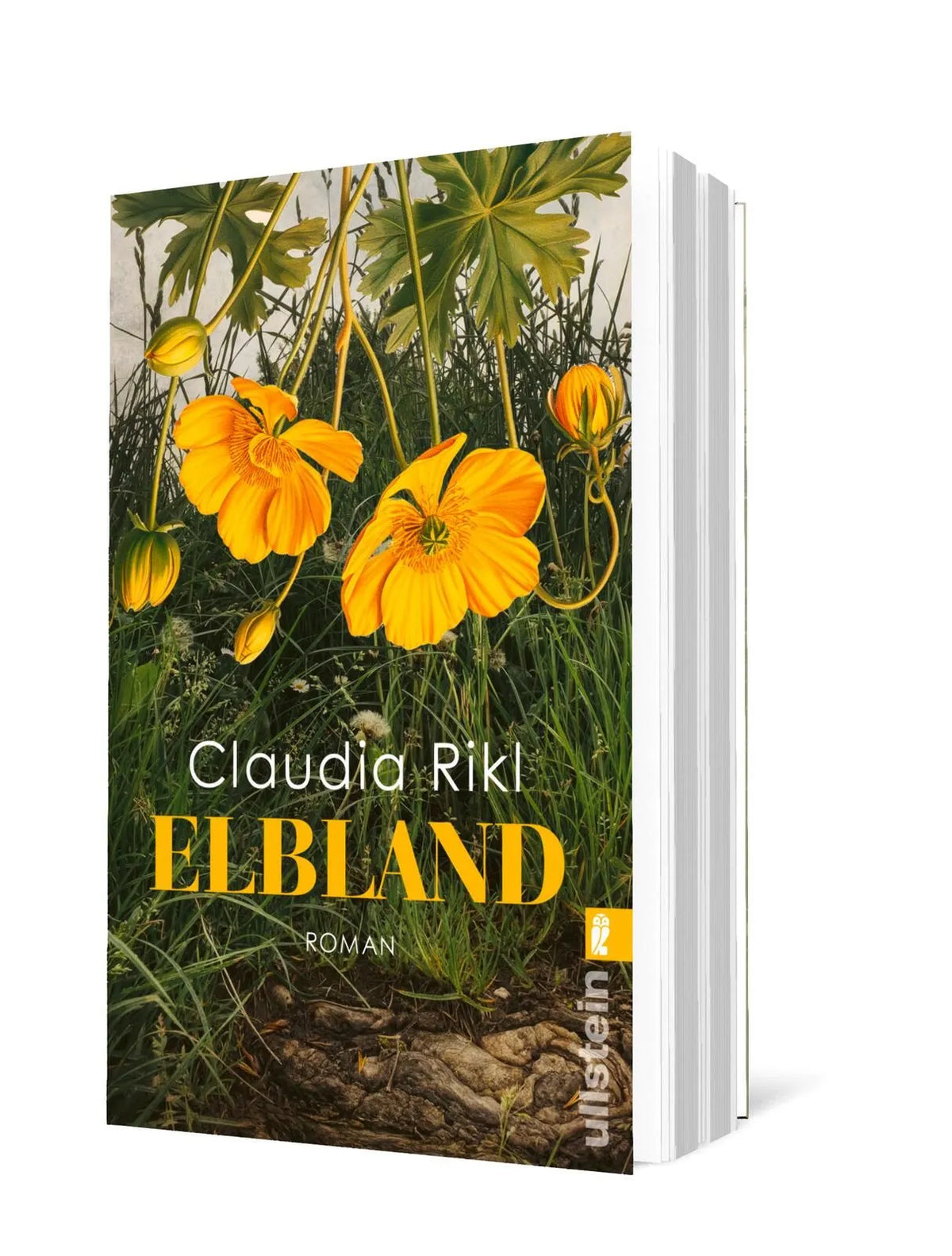 Detailansicht: Elbland (Taschenbuch)