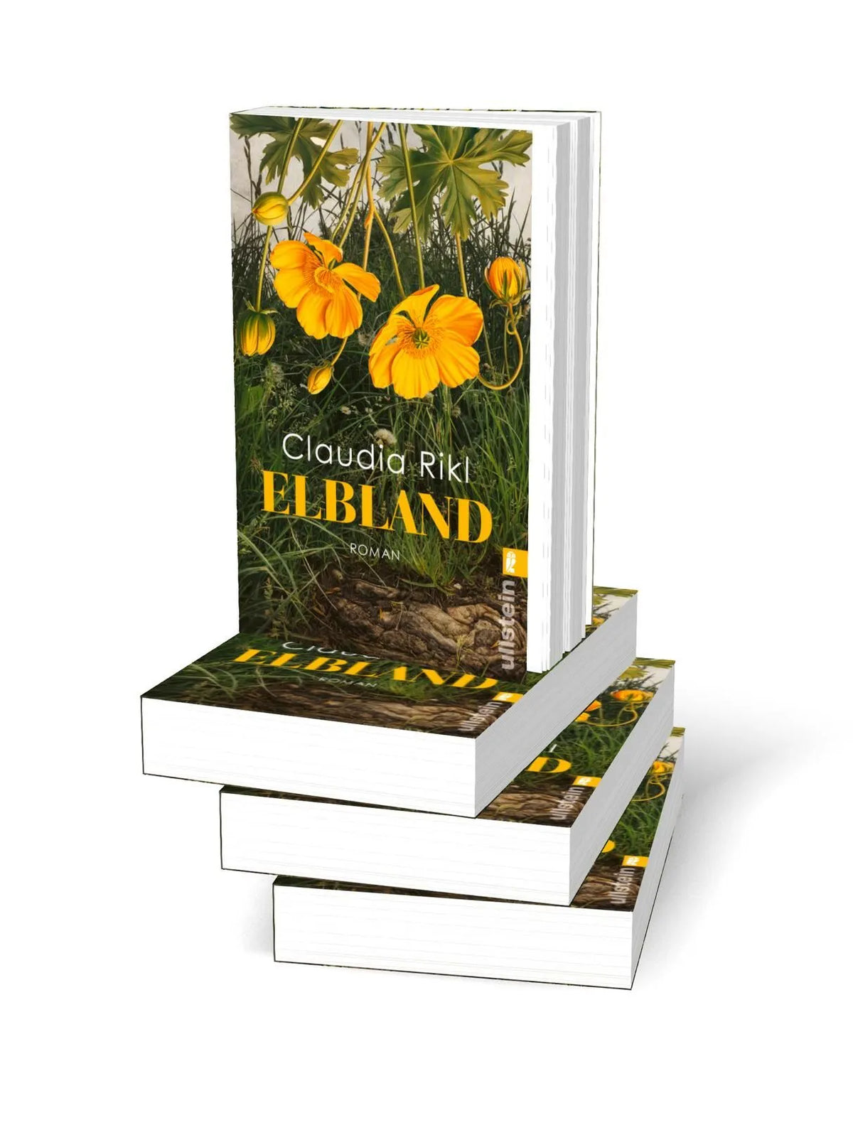 Detailansicht: Elbland (Taschenbuch)