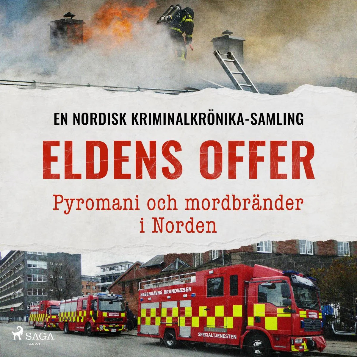 Cover: Eldens offer - Pyromani och mordbränder i Norden (Hörbuch Download) von Diverse