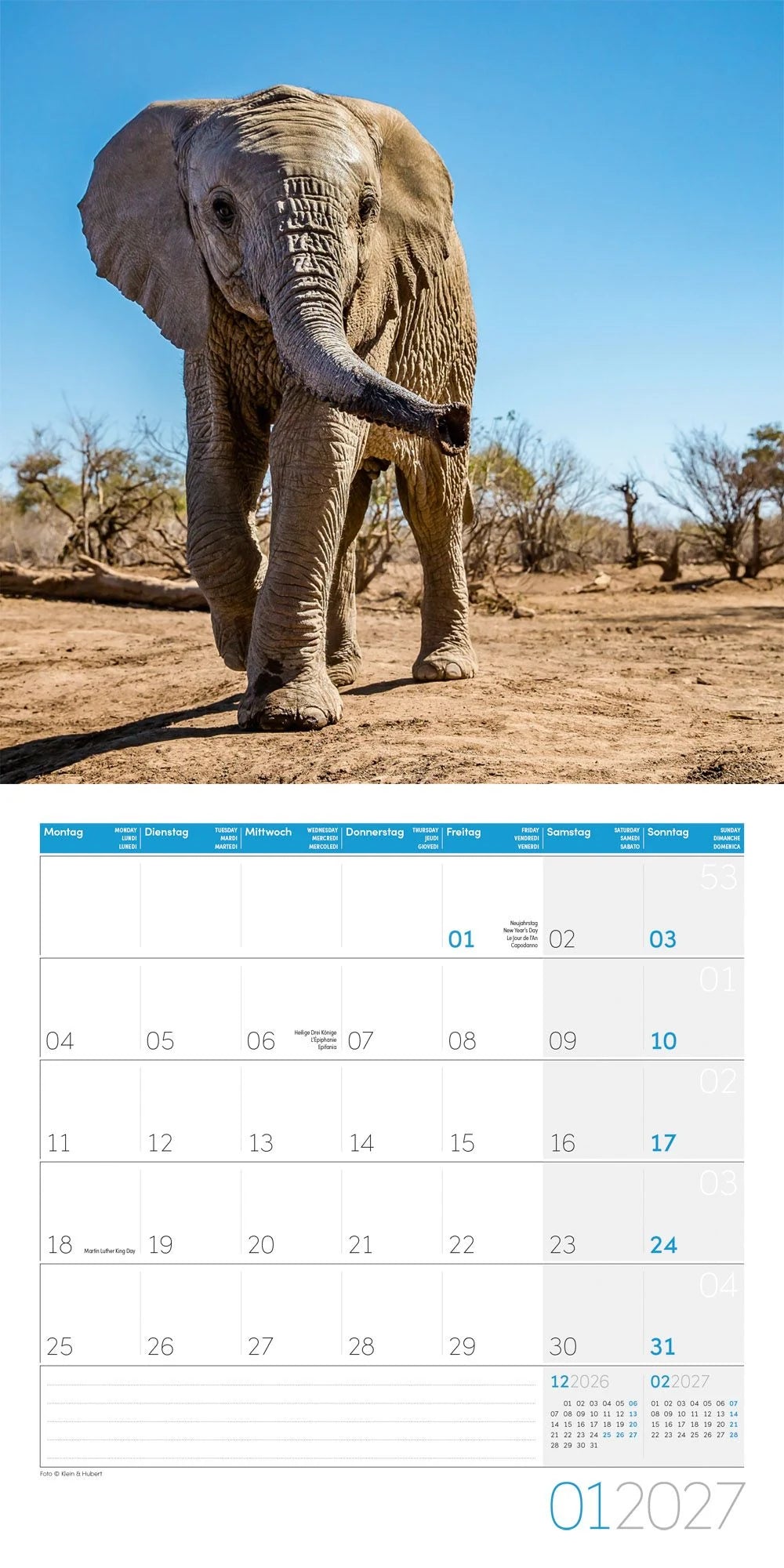 Elefanten Kalender 2027 - 30x30 - Art12 – Ansicht