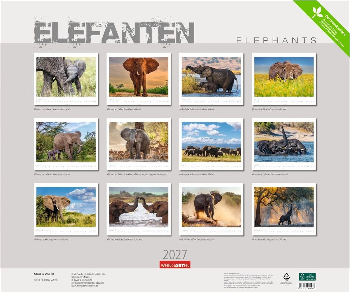 Elefanten Kalender 2027 – Ansicht