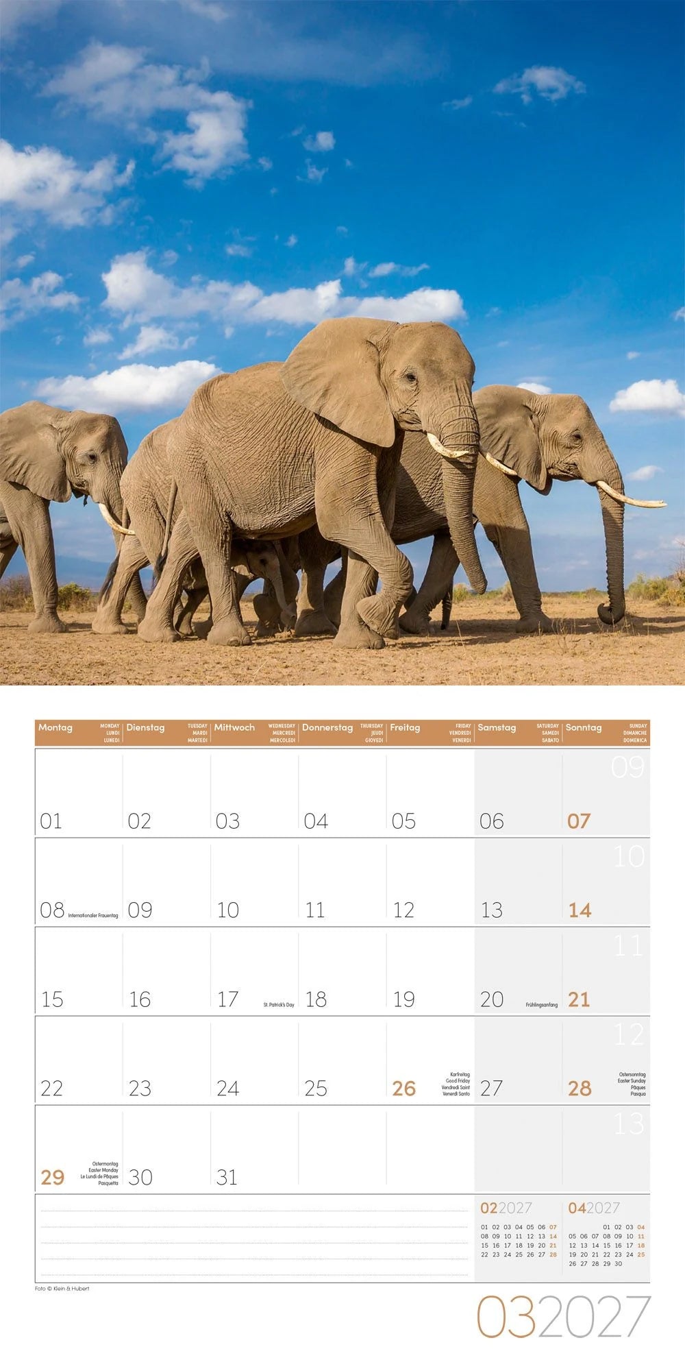 Elefanten Kalender 2027 - 30x30 - Art12 – Ansicht