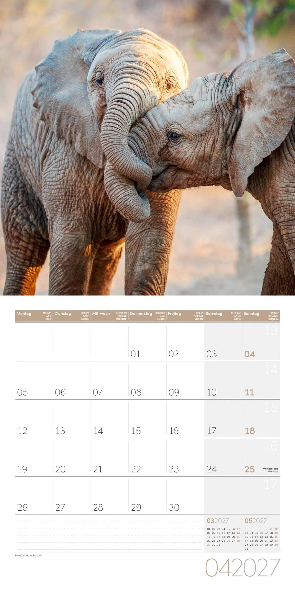 Elefanten Kalender 2027 - 30x30 - Art12 – Ansicht