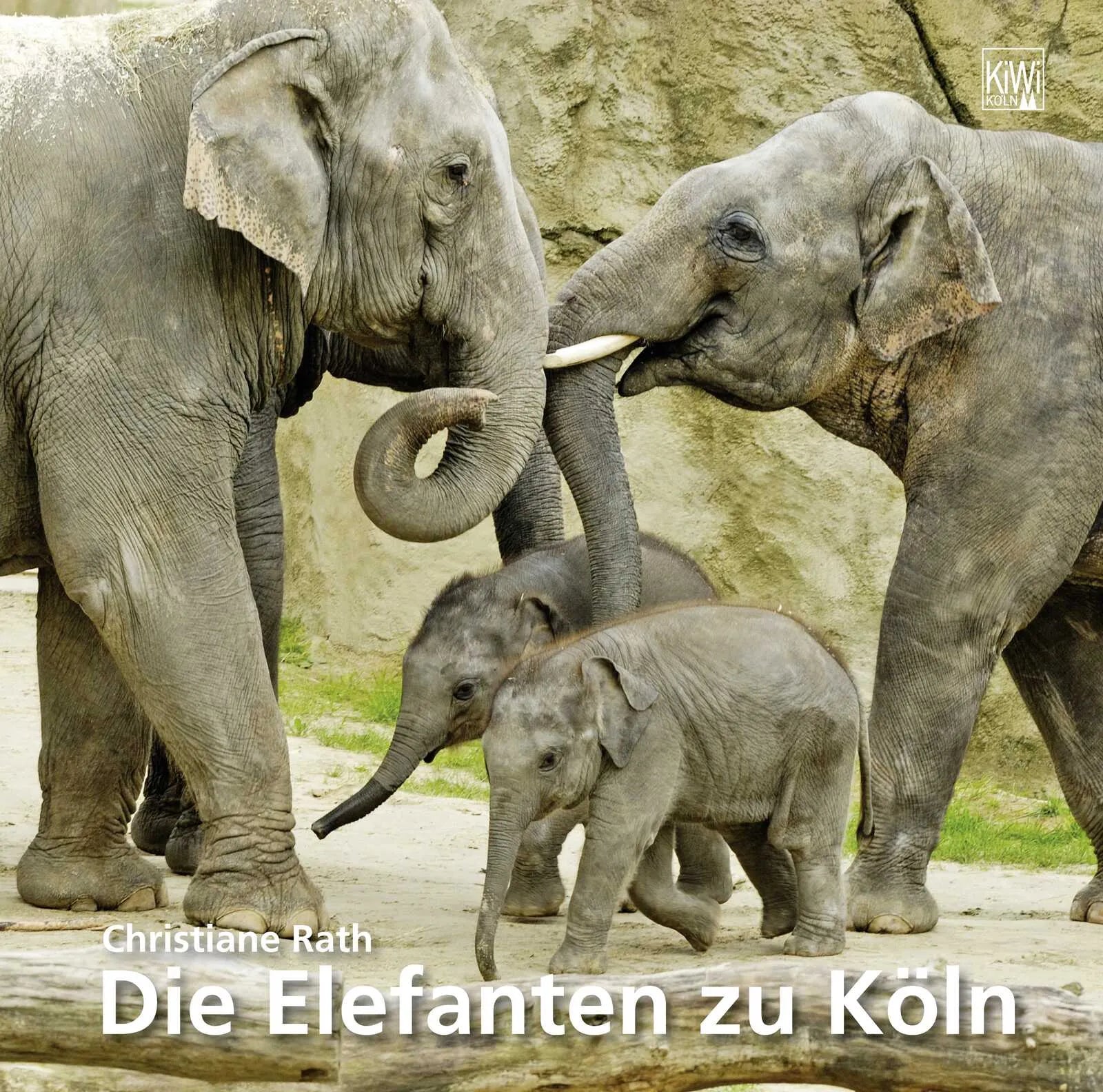 Buchcover von 'Elefanten zu Köln' - Gebundene Ausgabe von Christiane Rath