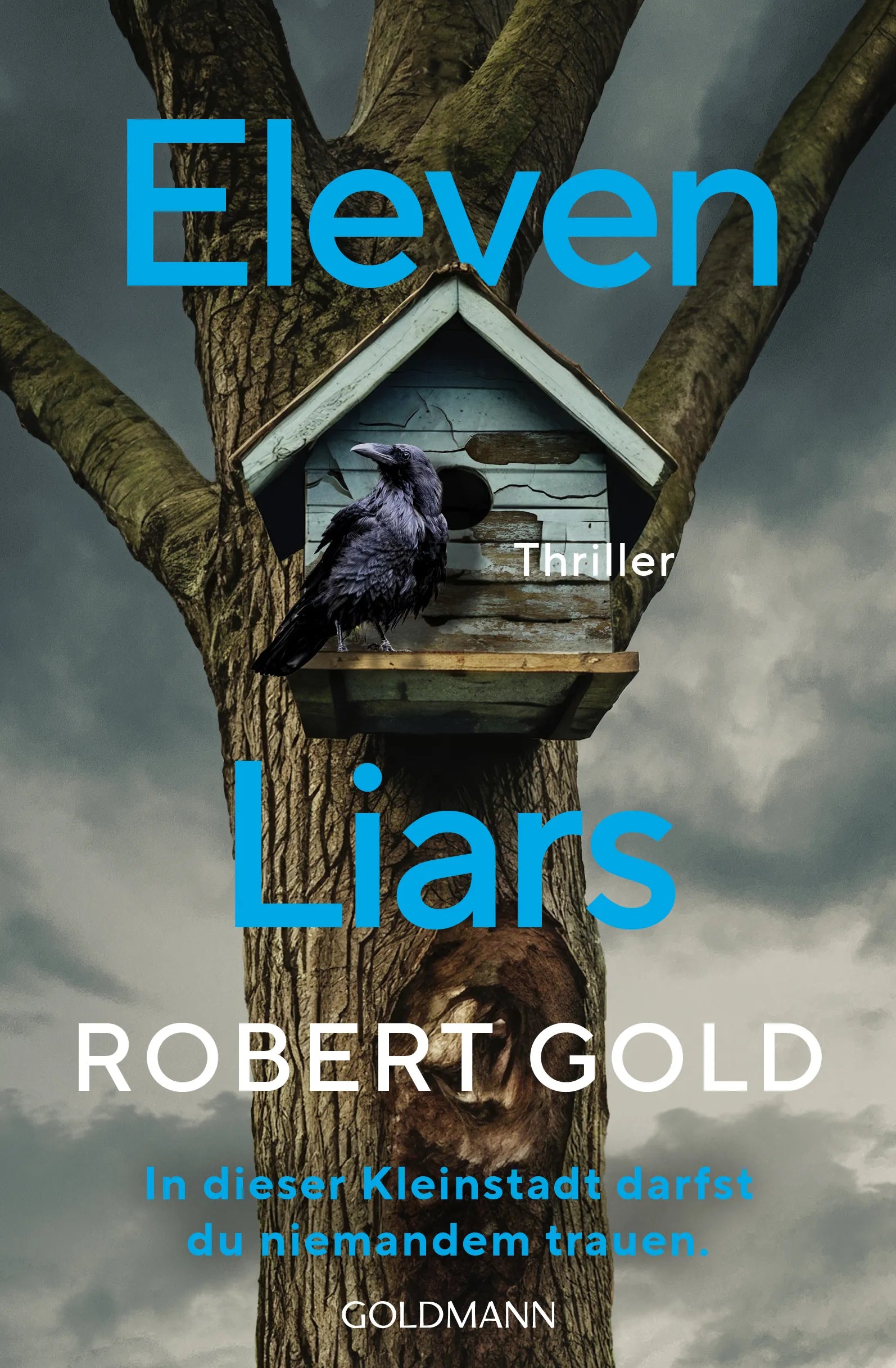 Cover: Eleven Liars (E-Book) von Robert Gold