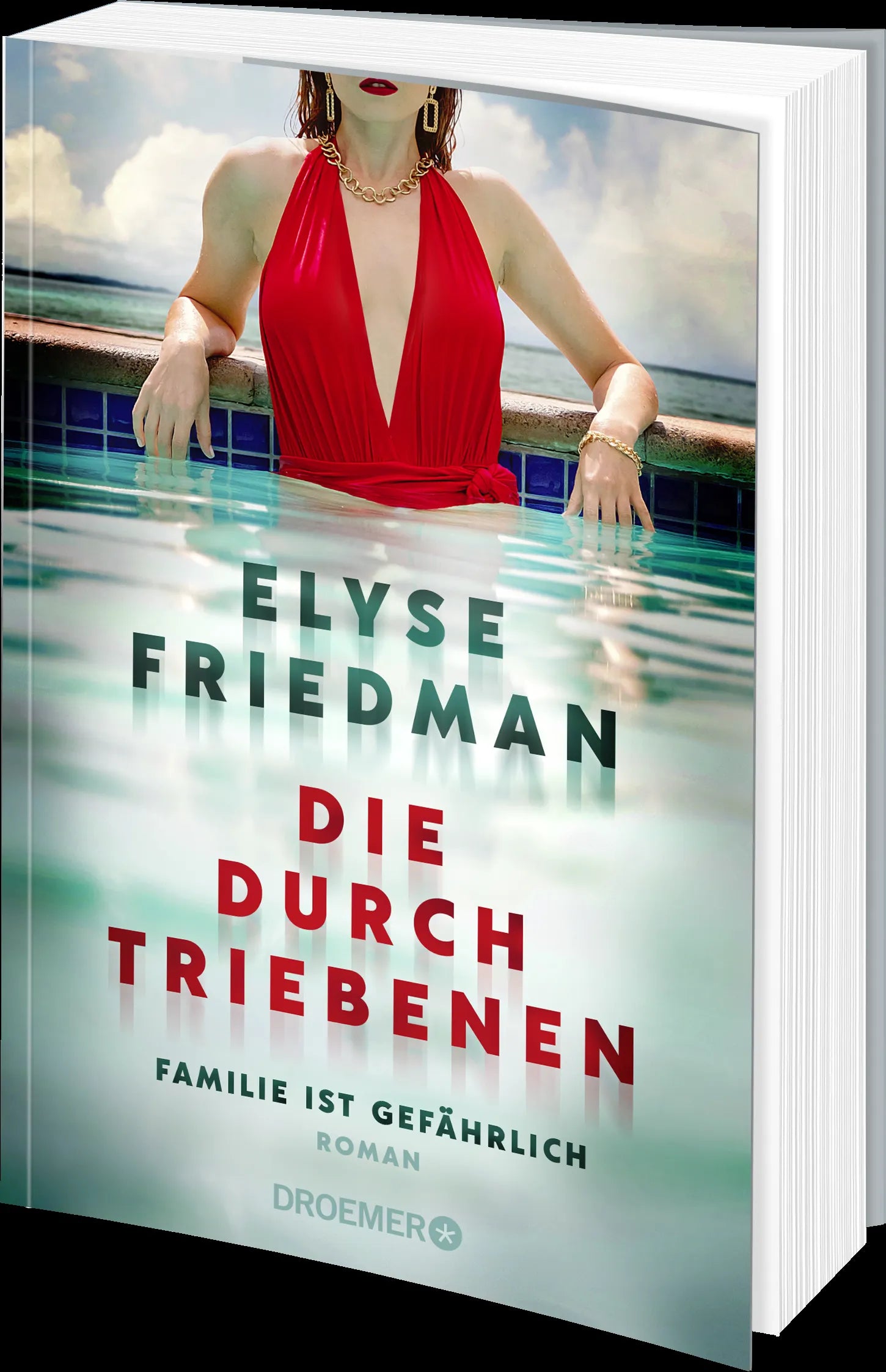 Produktansicht: Die Durchtriebenen (Paperback)