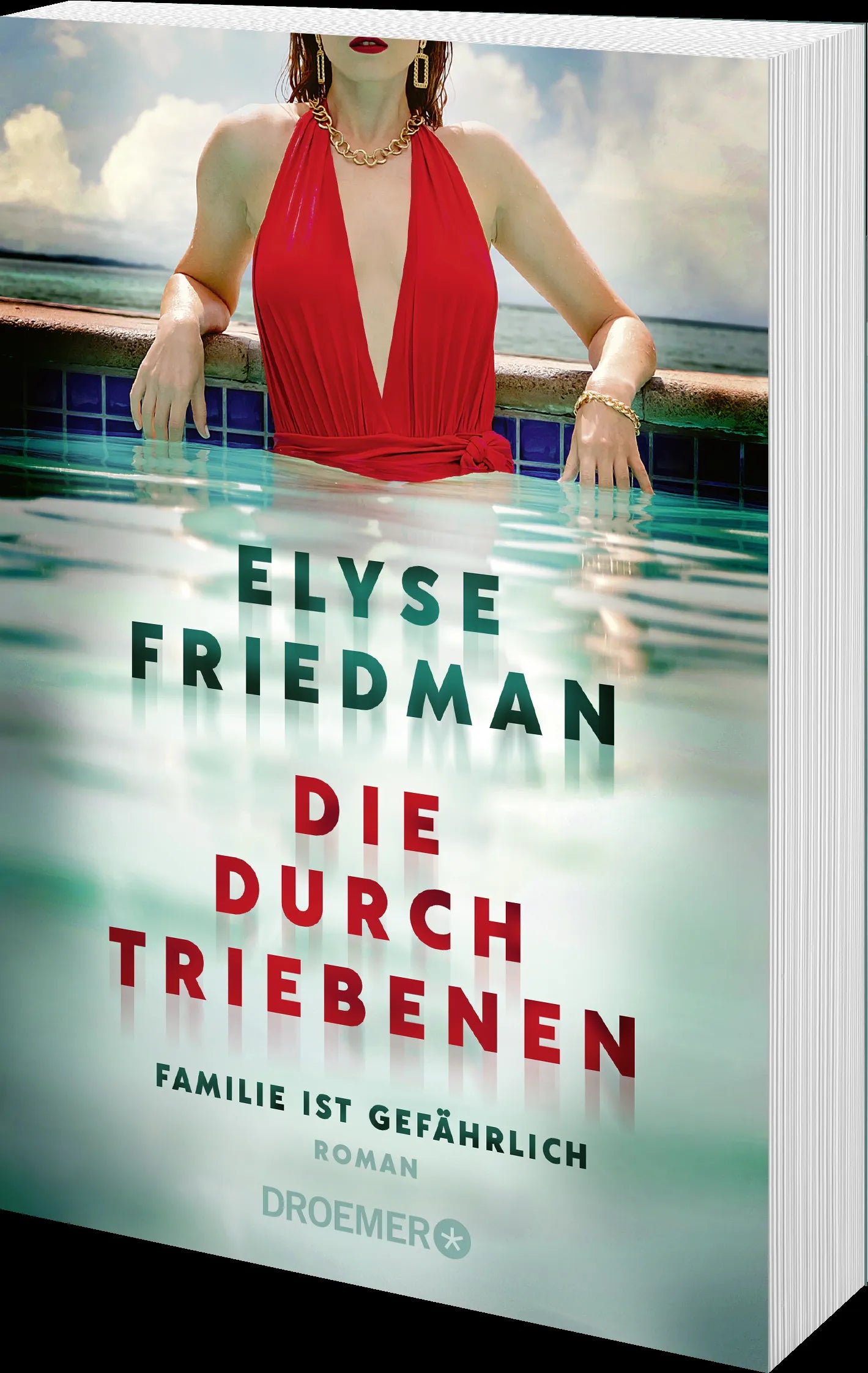 Produktansicht: Die Durchtriebenen (Taschenbuch)