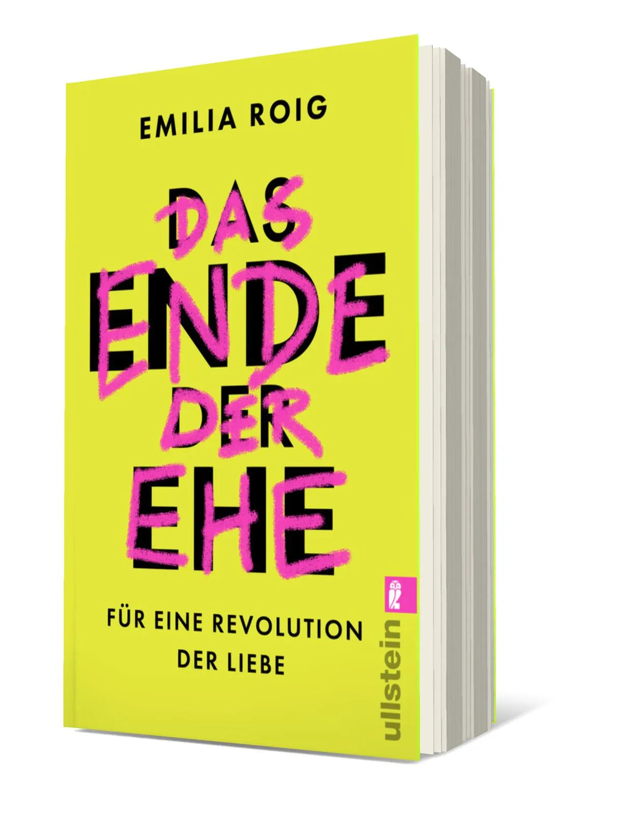 Produktansicht: Das Ende der Ehe (Taschenbuch)